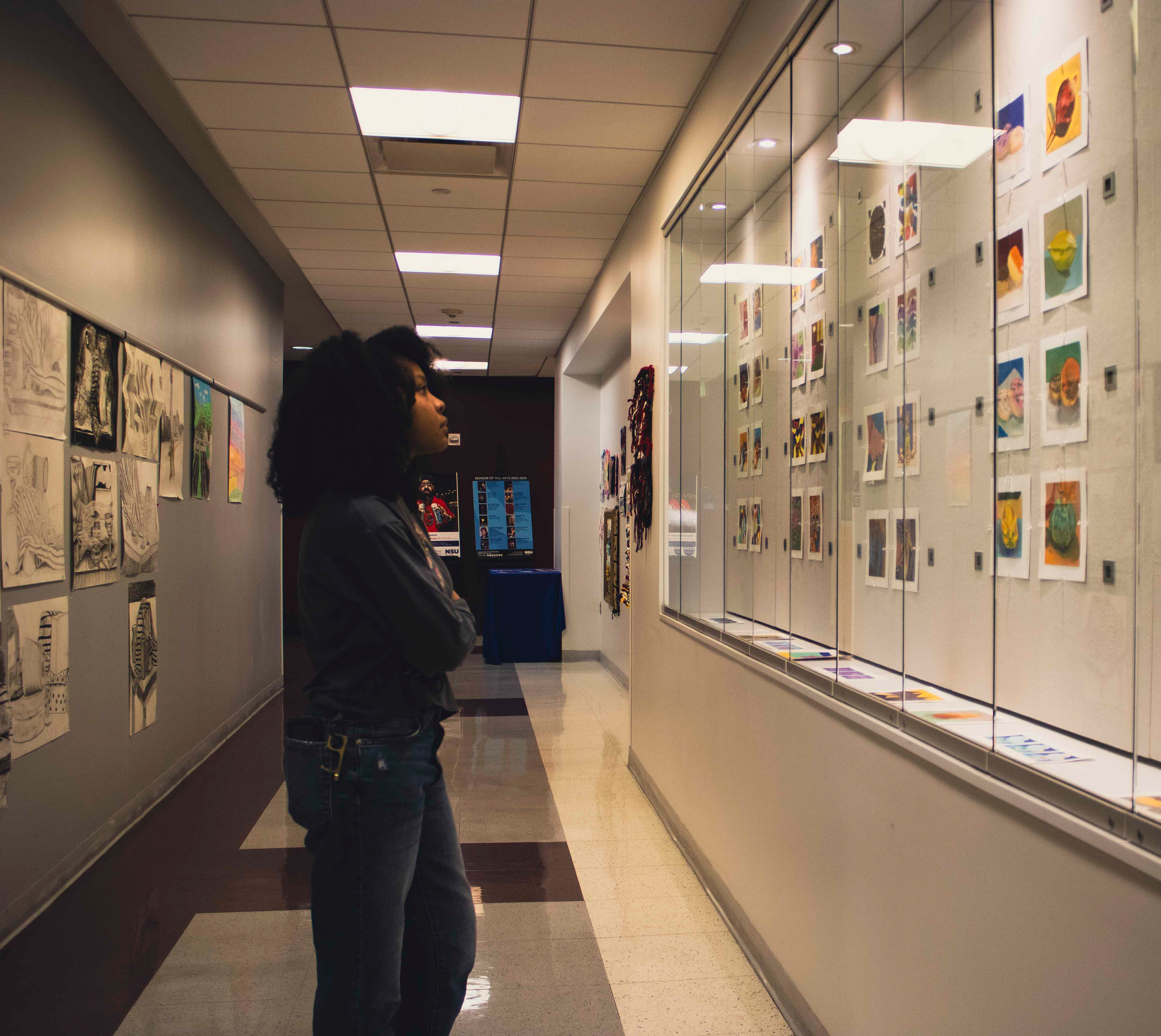 Title: Showcase Viewer