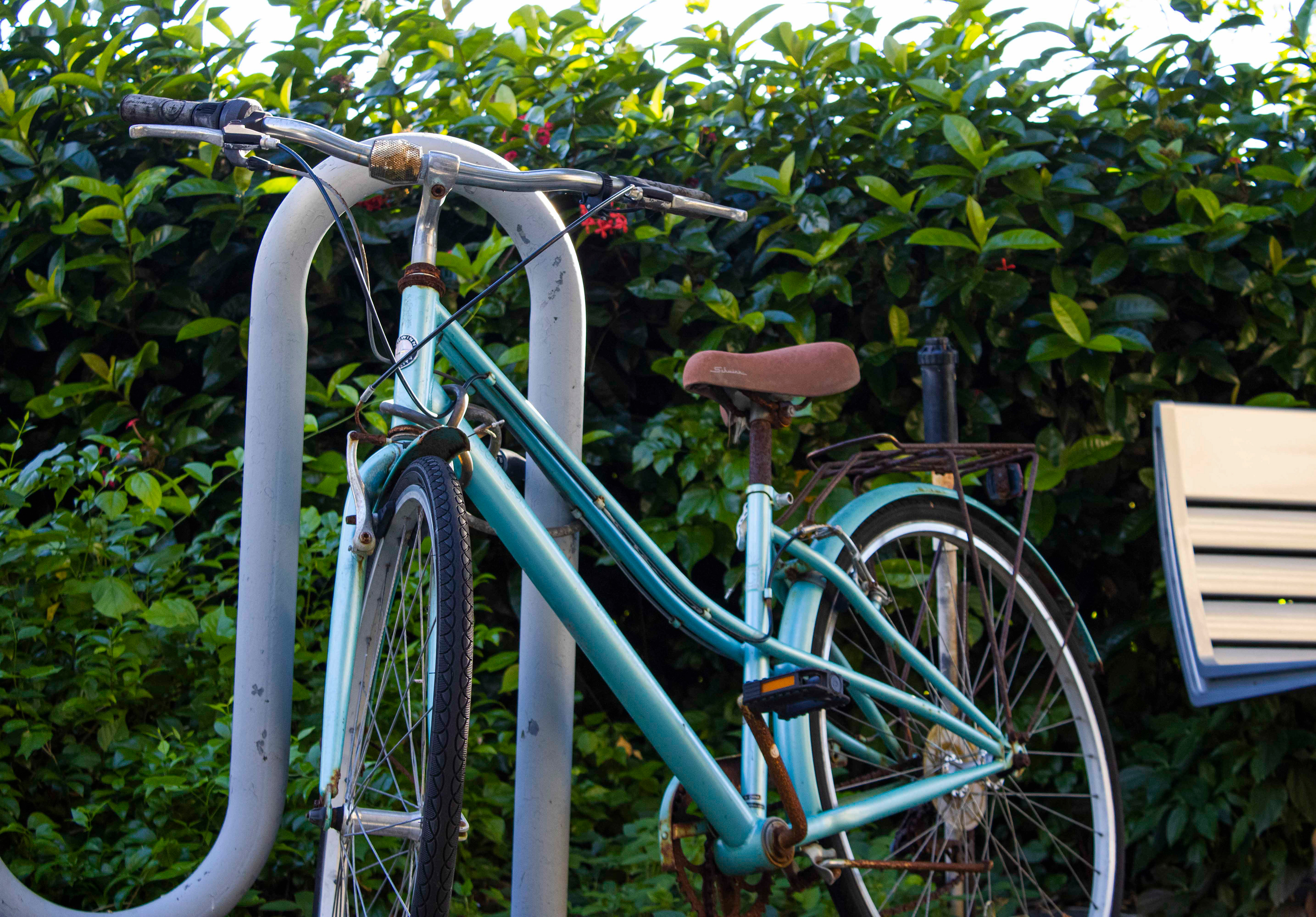 Title: Aging Bike