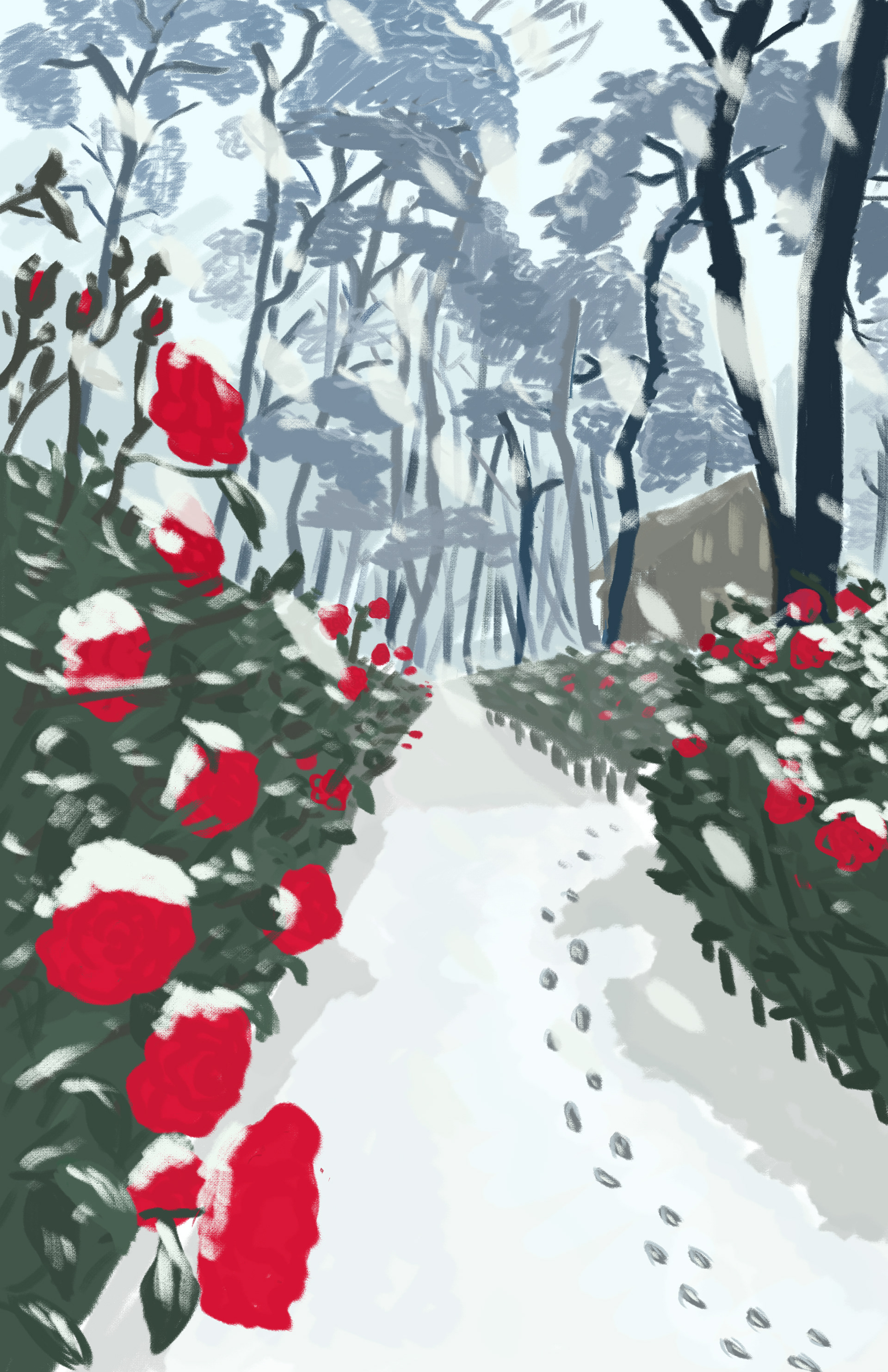 Title: Winter Roses