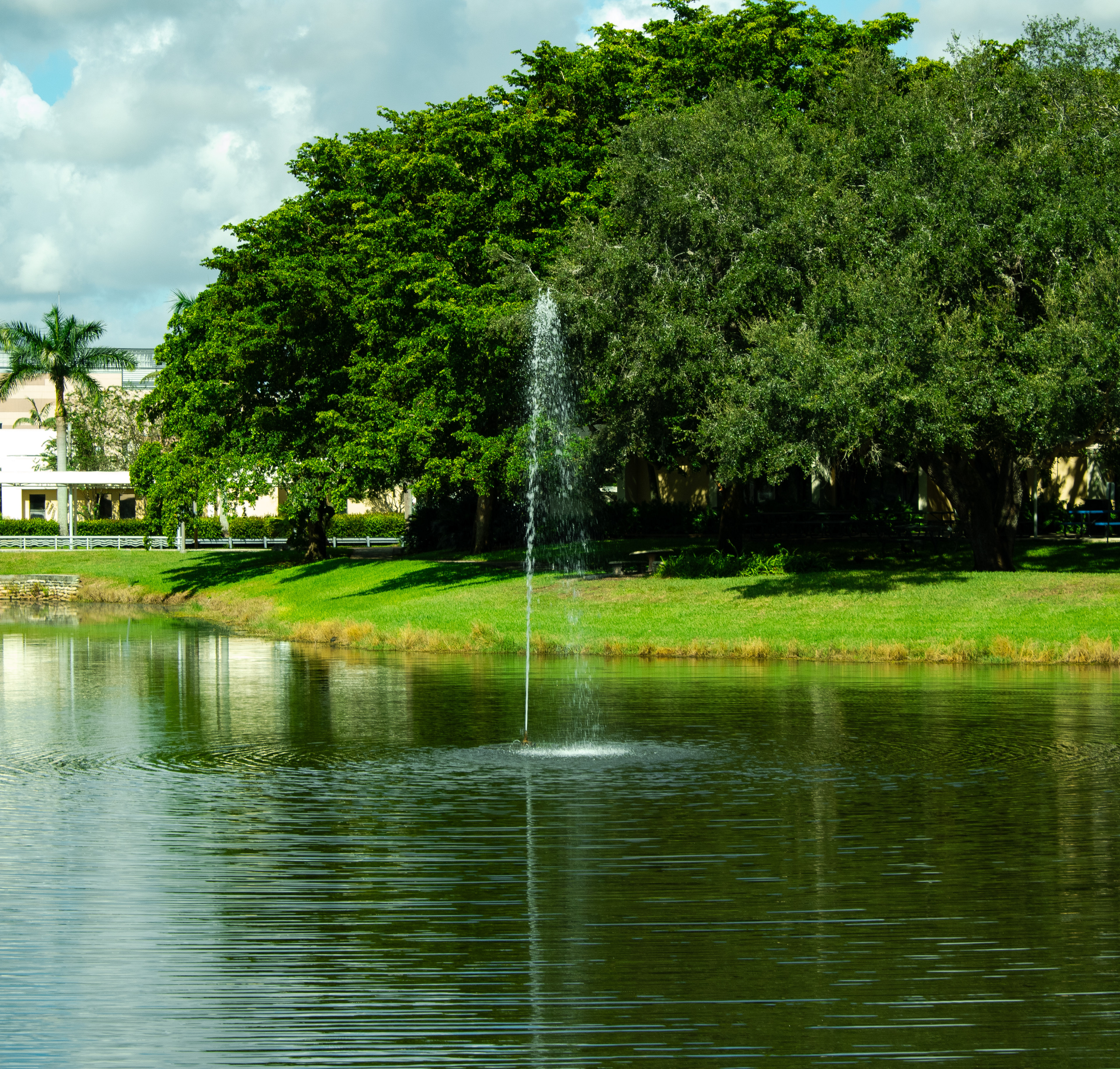 Title: Fountain