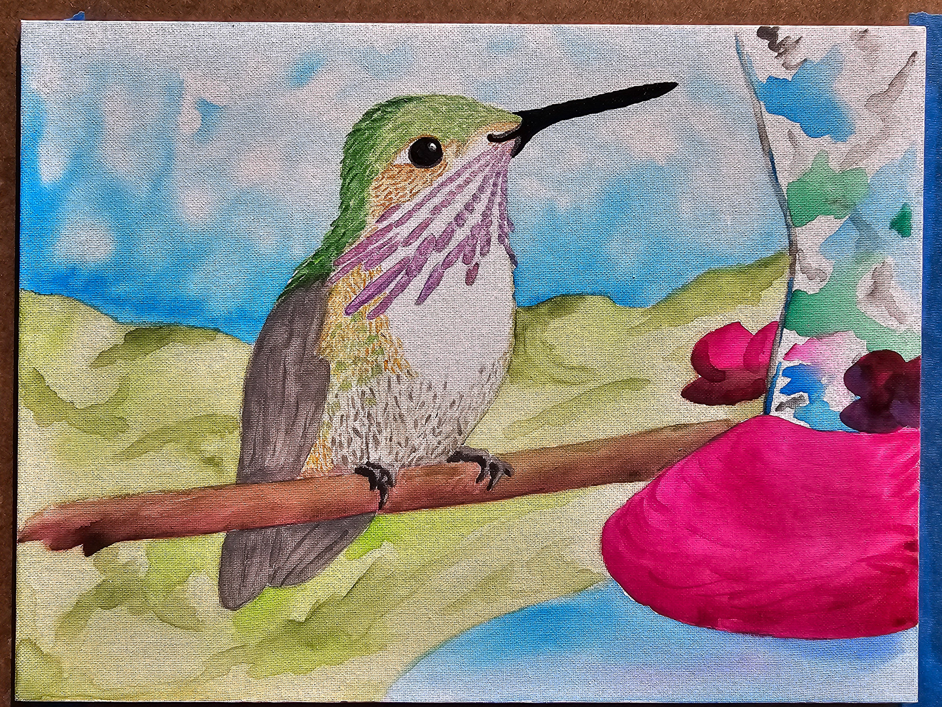 Calliope