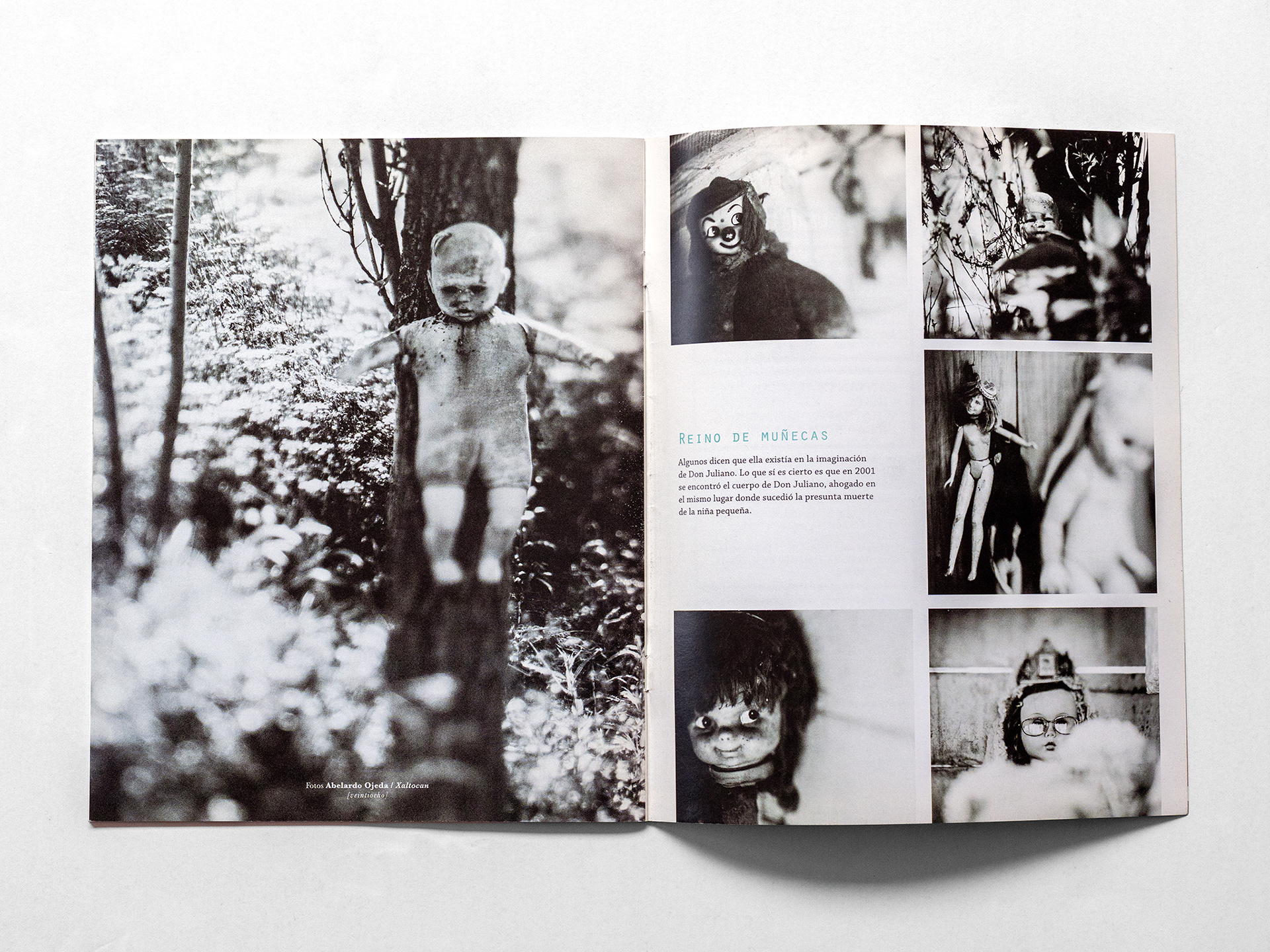 Dolls Kingdom, Mi Valedor magazine