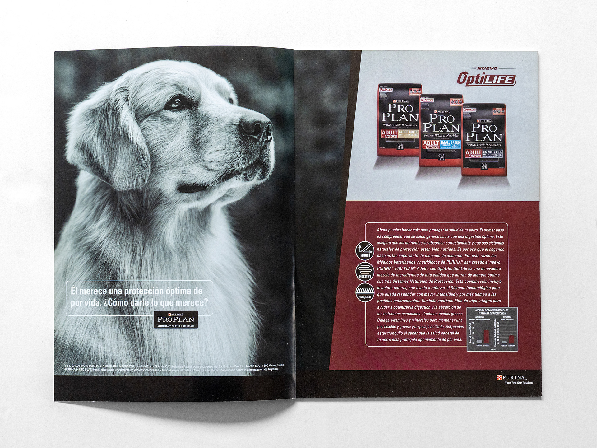 Purina ProPlan Latin American Campaign.