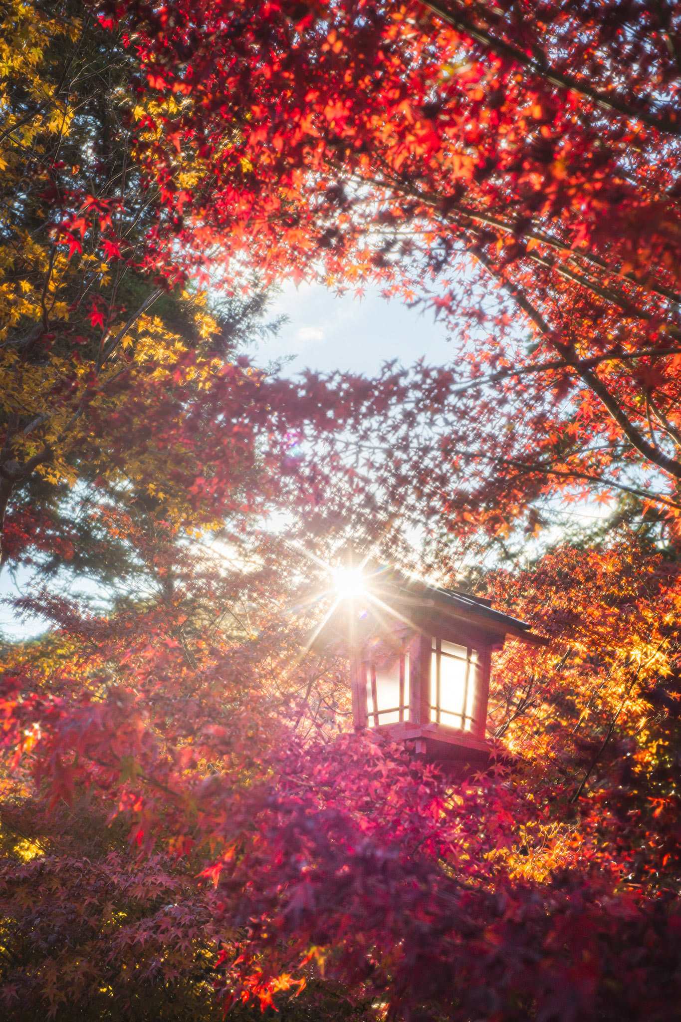 「光陰矢の如し」Voightlander NOKTON classic 35mm F1.4 II SC