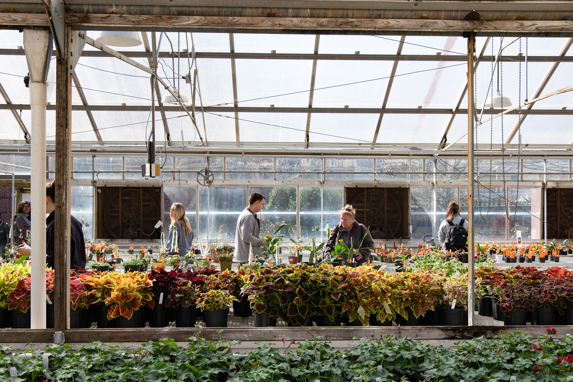 Customers browse the aisles in the greenhouse at the UGA Trial Garden plant sale on Tuesday, Feb. 13, 2024. (Photo/Evan Frilingos; @frilingos.photos)