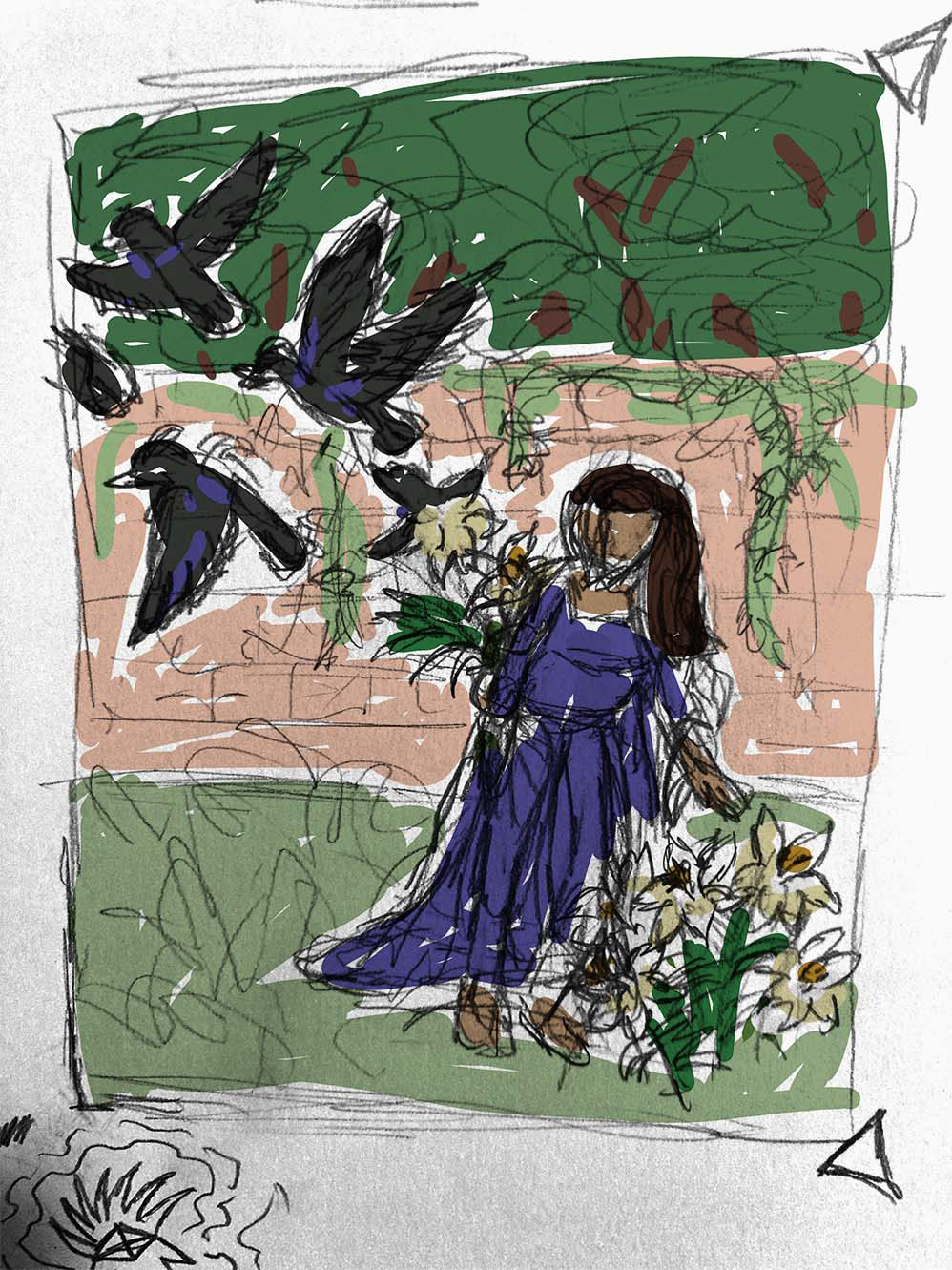 color study