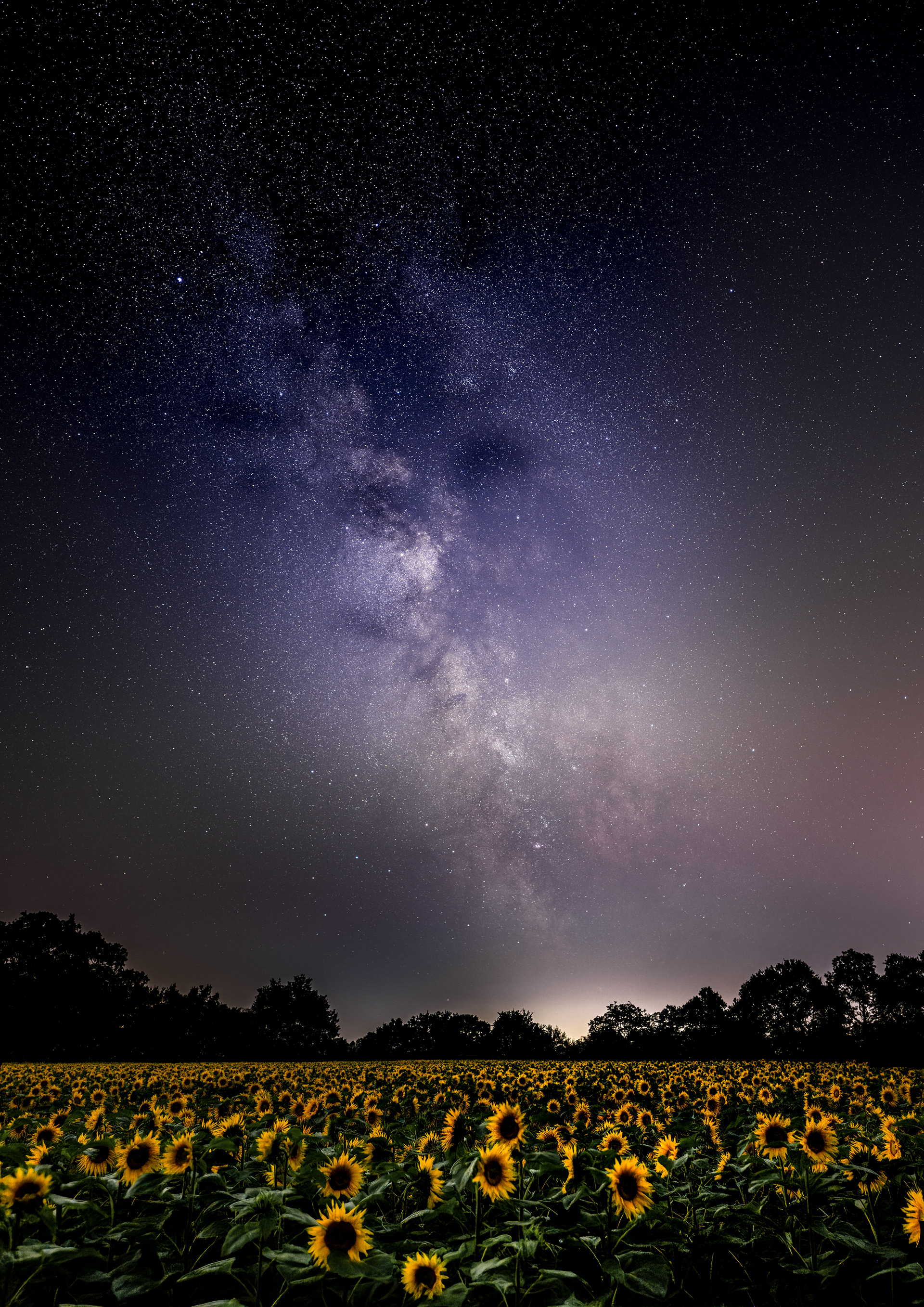 Searching for the sun