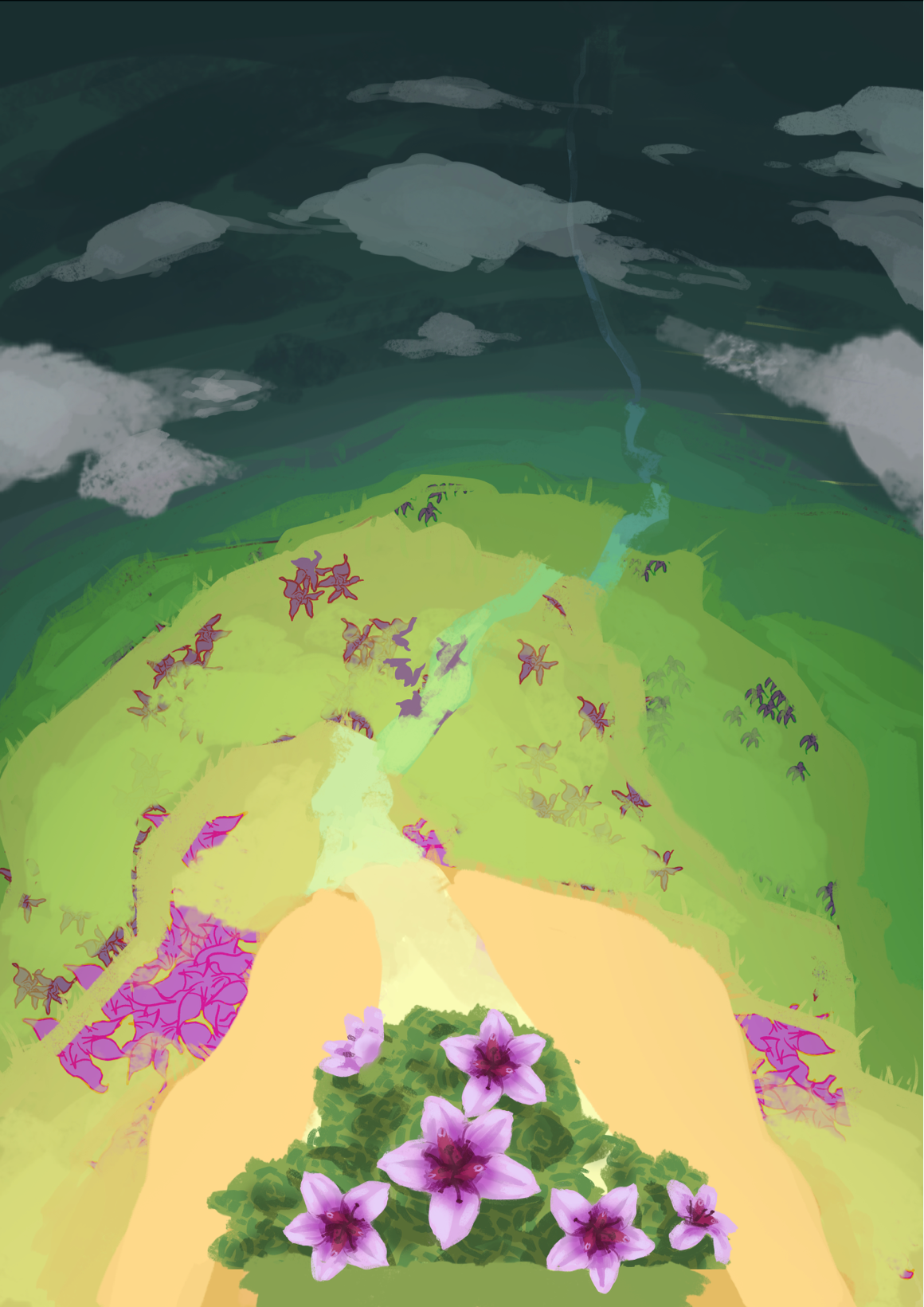 The initial idea for the saxifrage poster was to have it decay as you look at the lower elevations, only thriving at the top close to the viewer. This was a bit too complex though, and I simplified the idea in the final poster design. 
