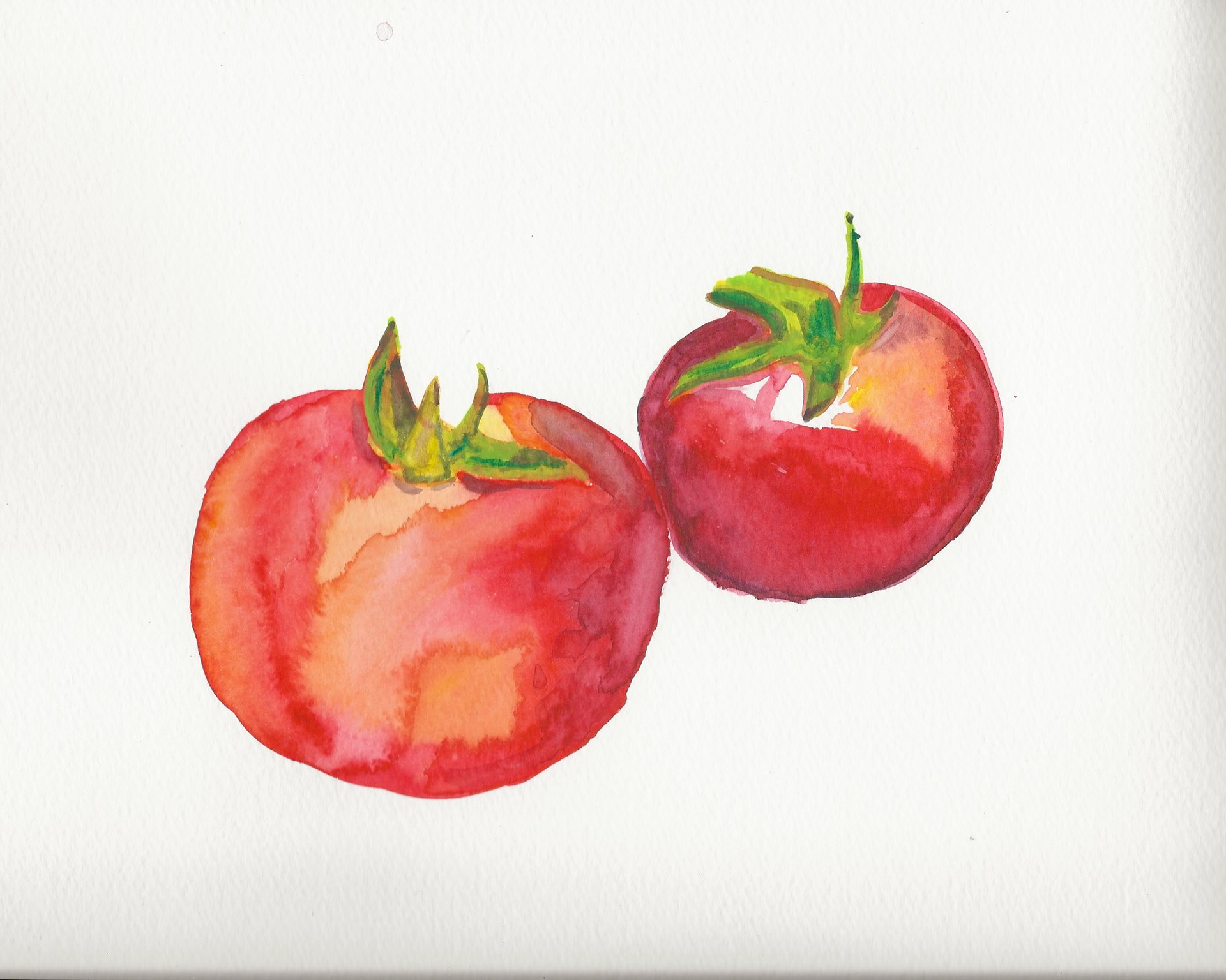 Two Tomato's