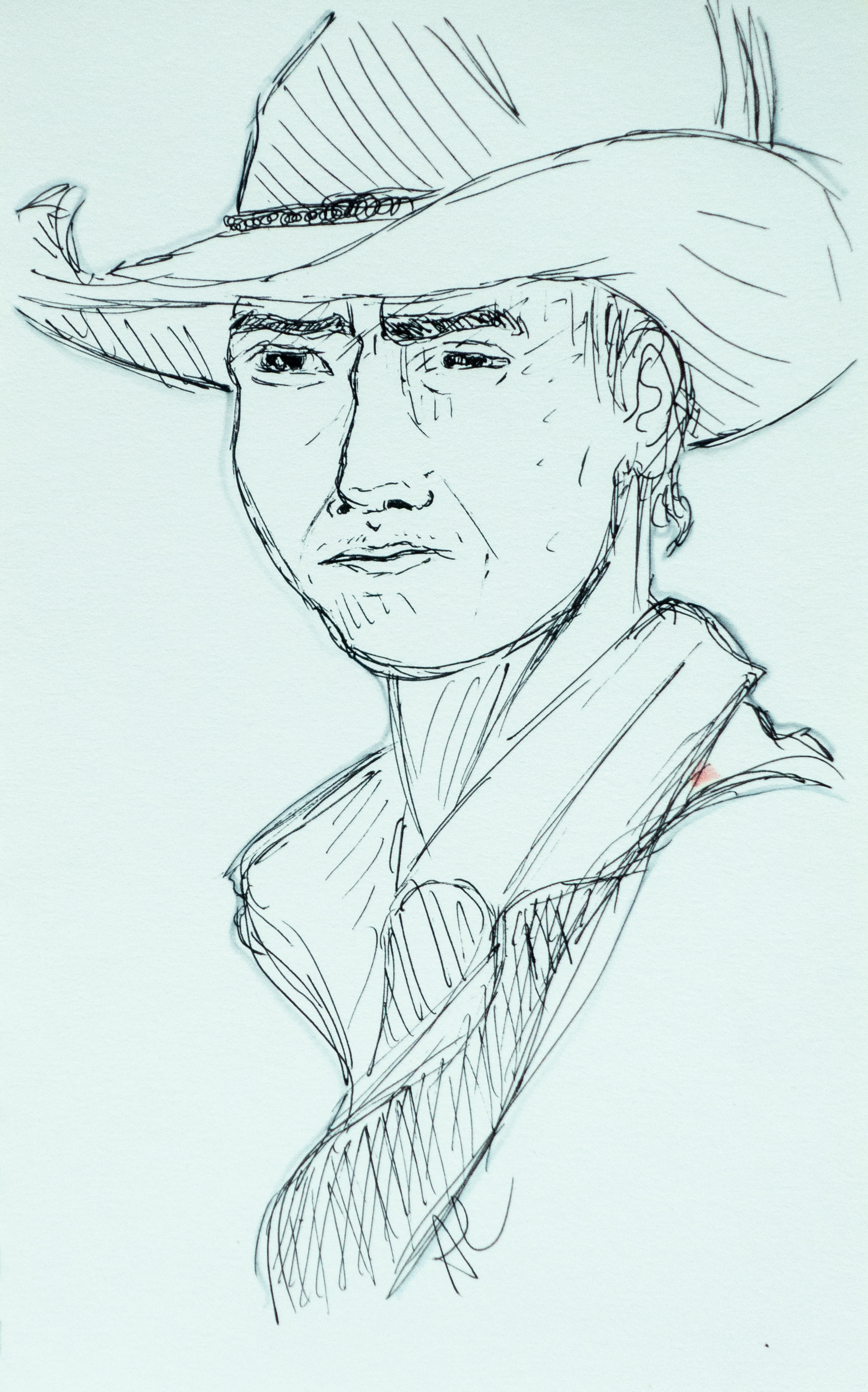 Fictional Cowboy
