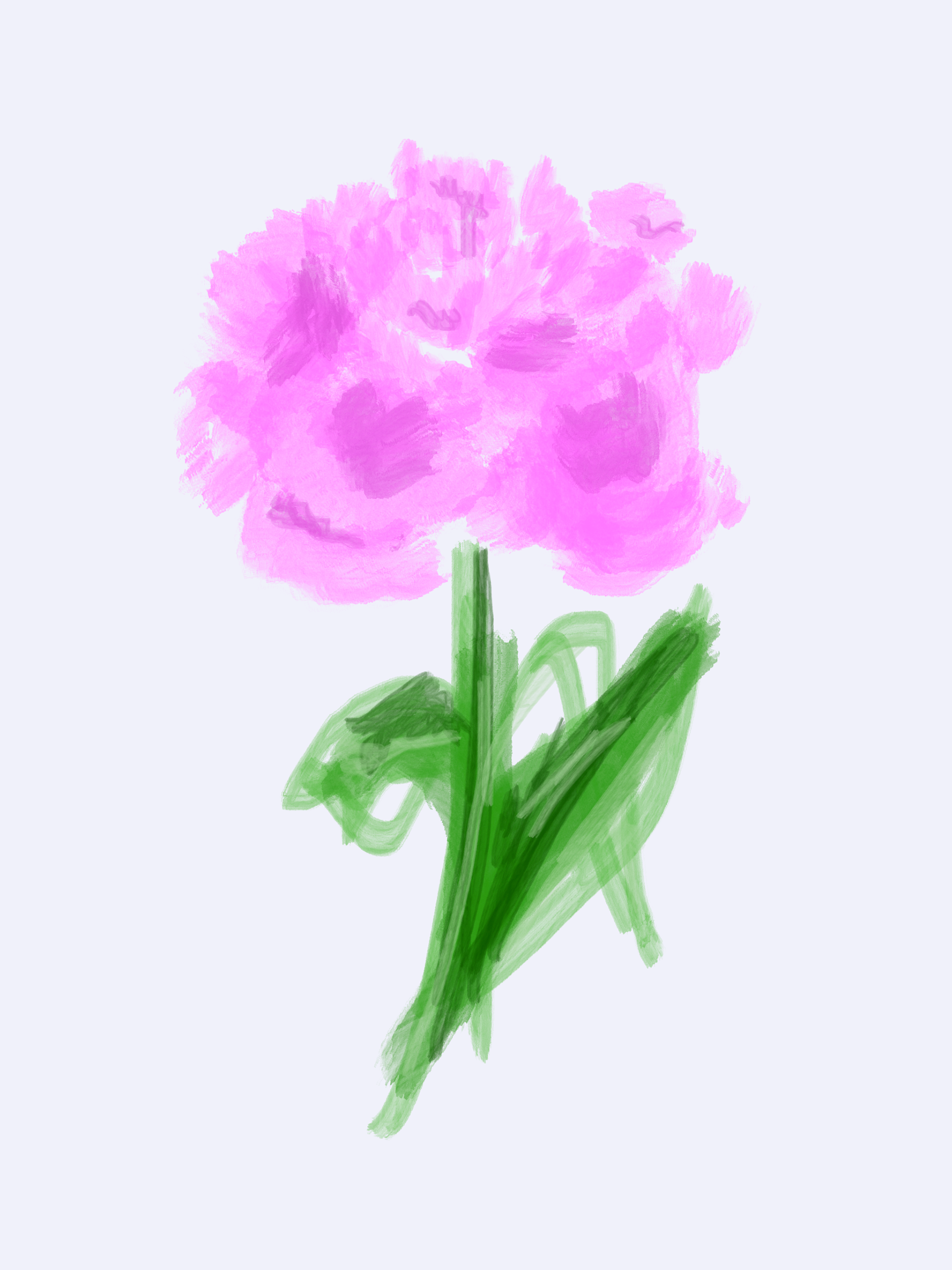 Peony