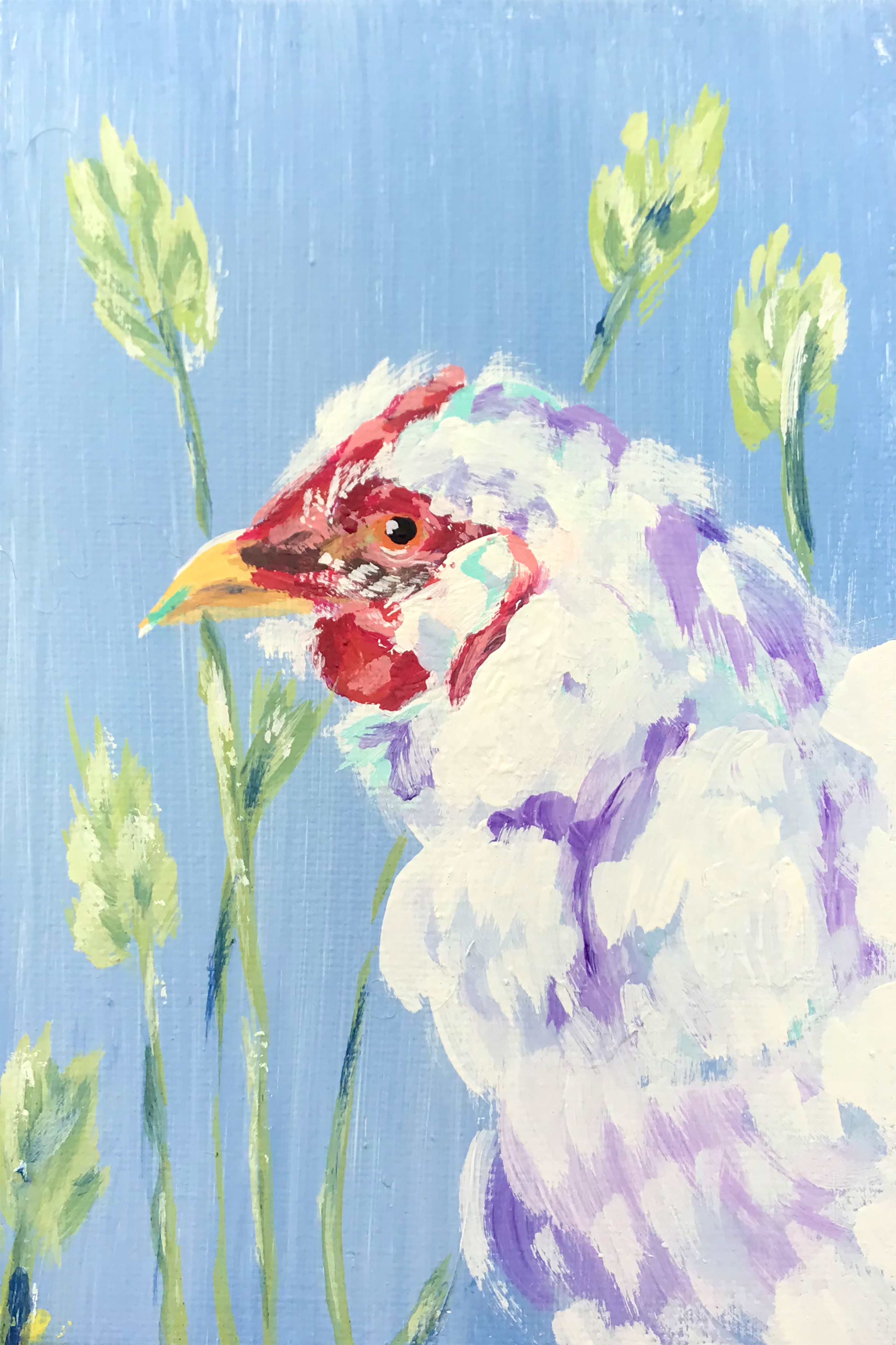 Chicken - 2024