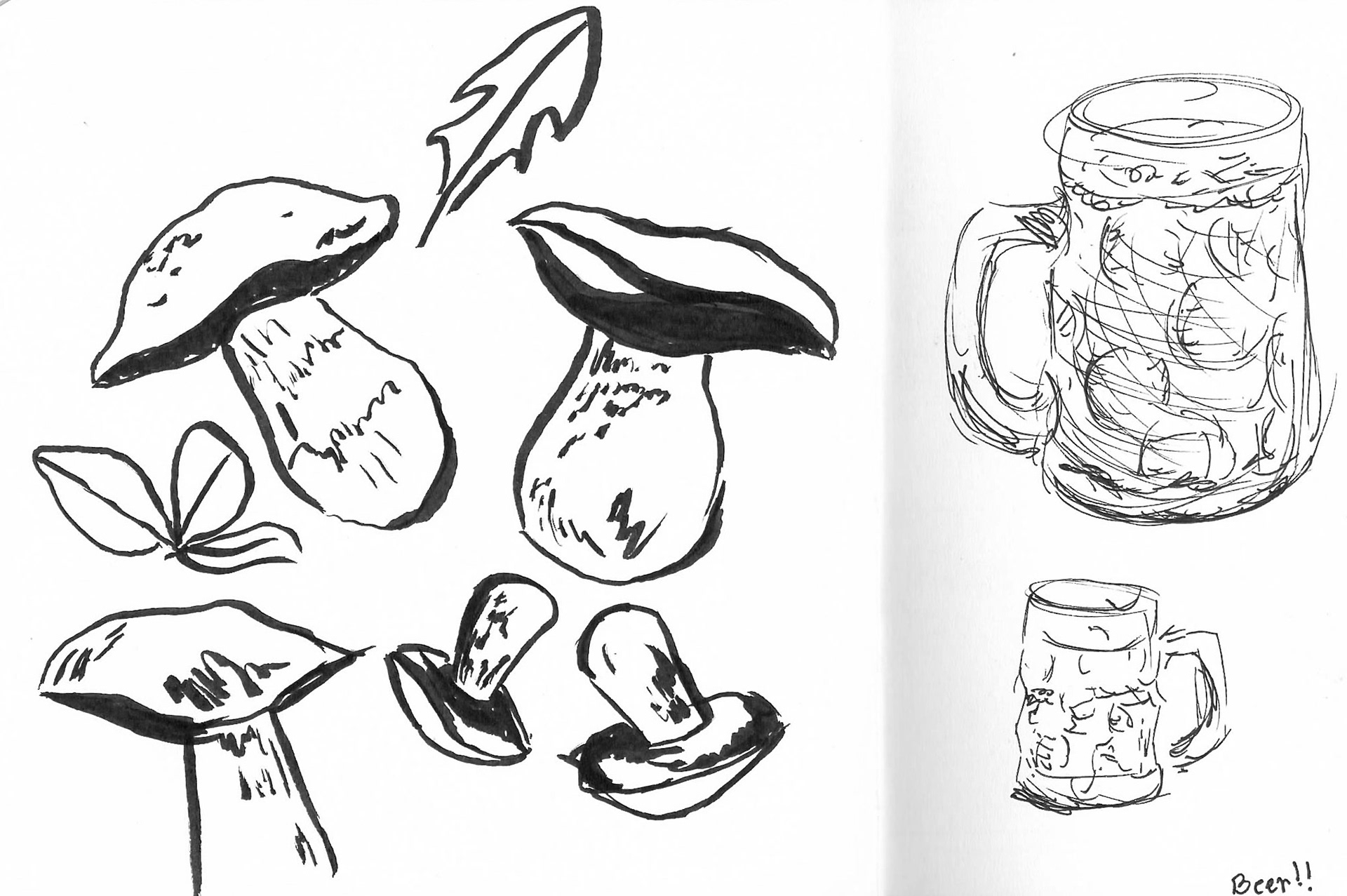 Boletes and Beer