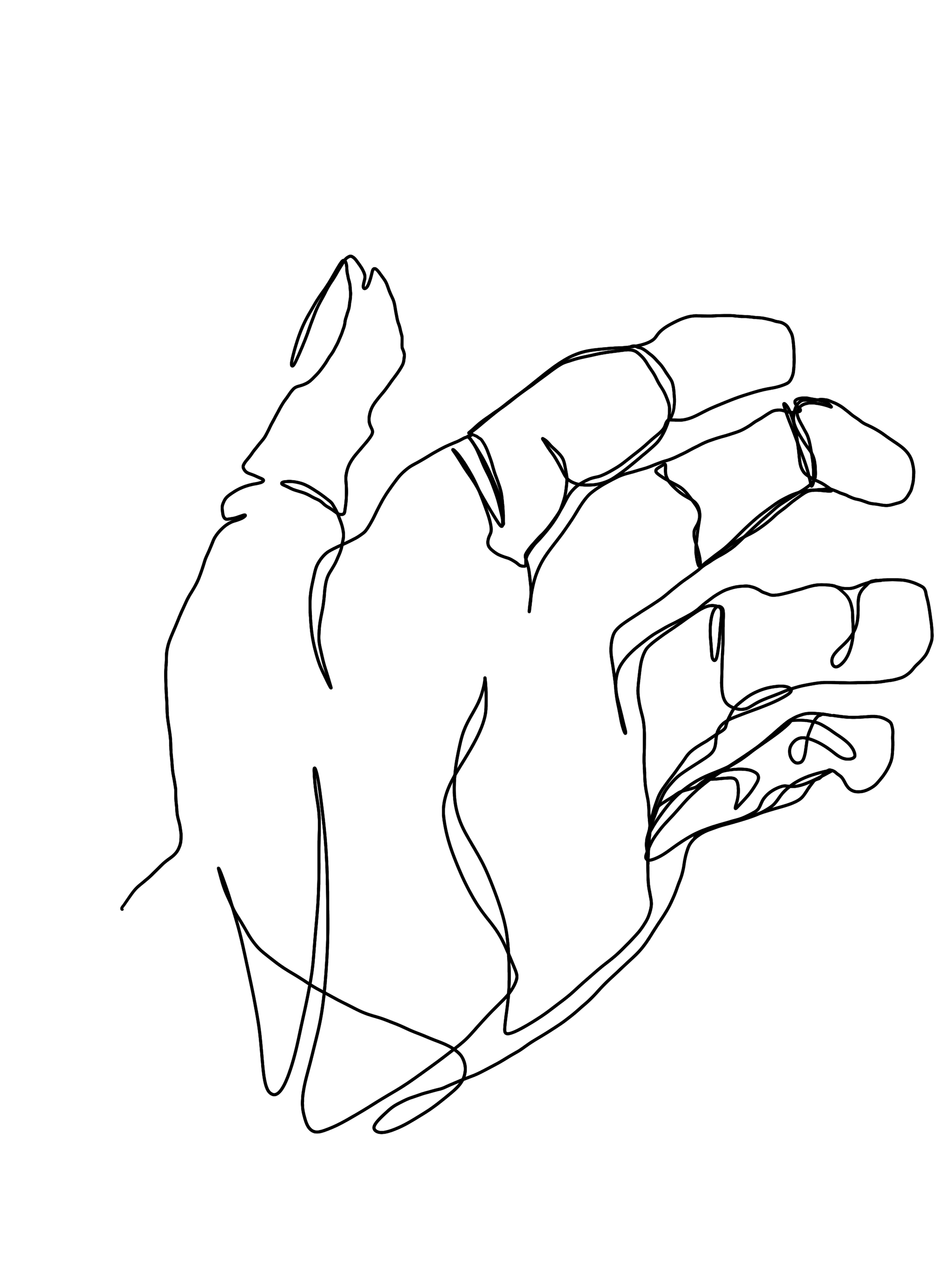 Hand
