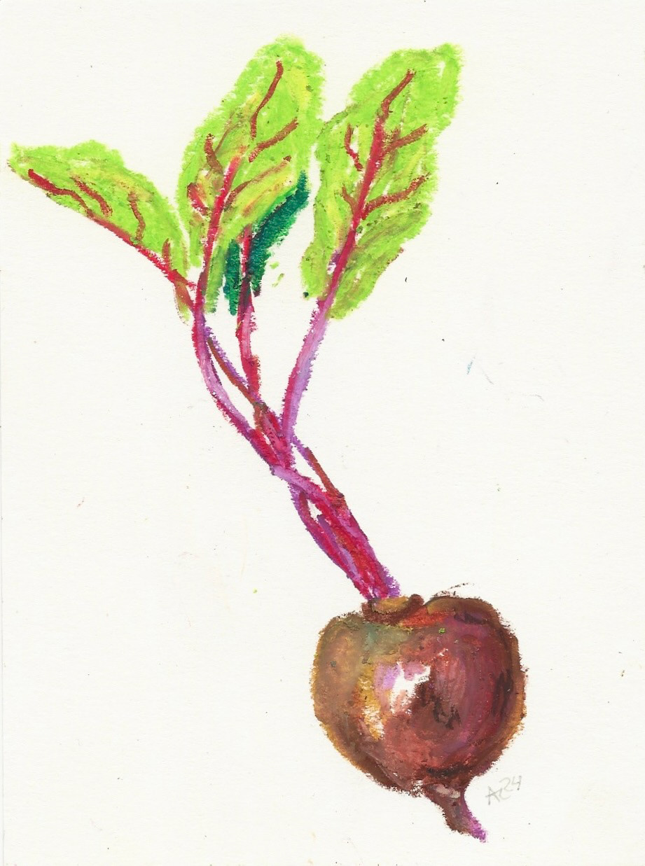 Beet No. 1