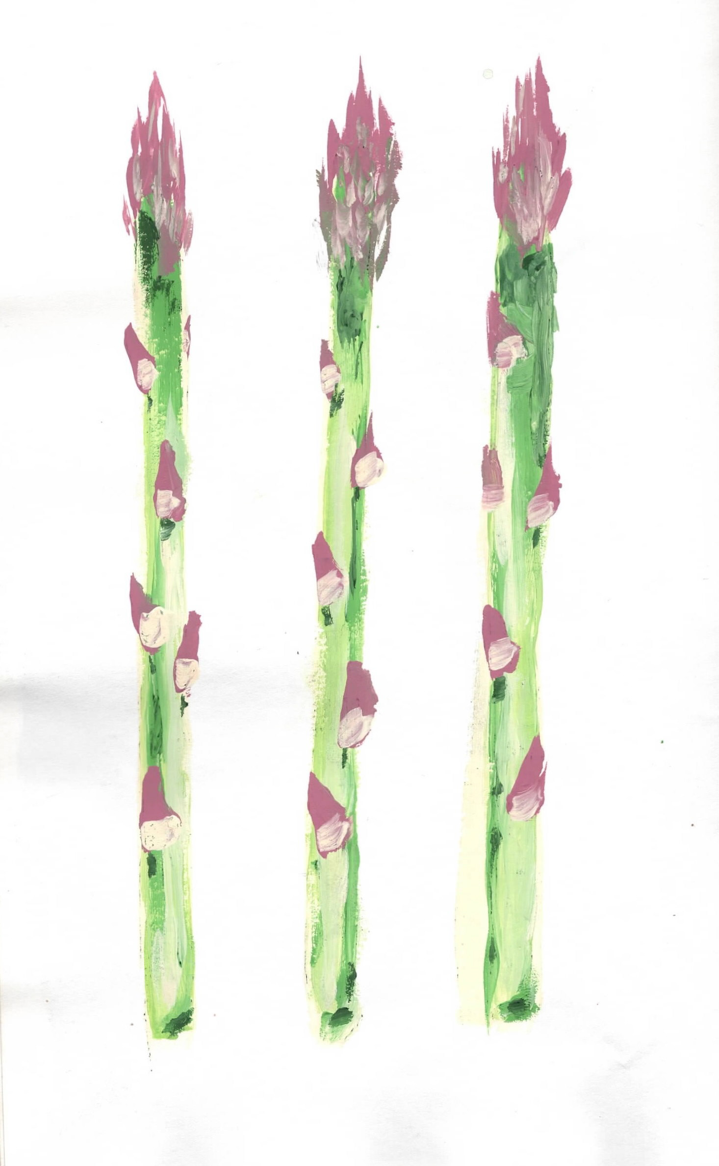 Asparagus