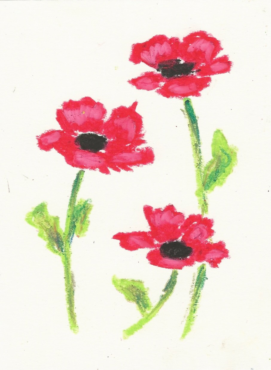 Poppies