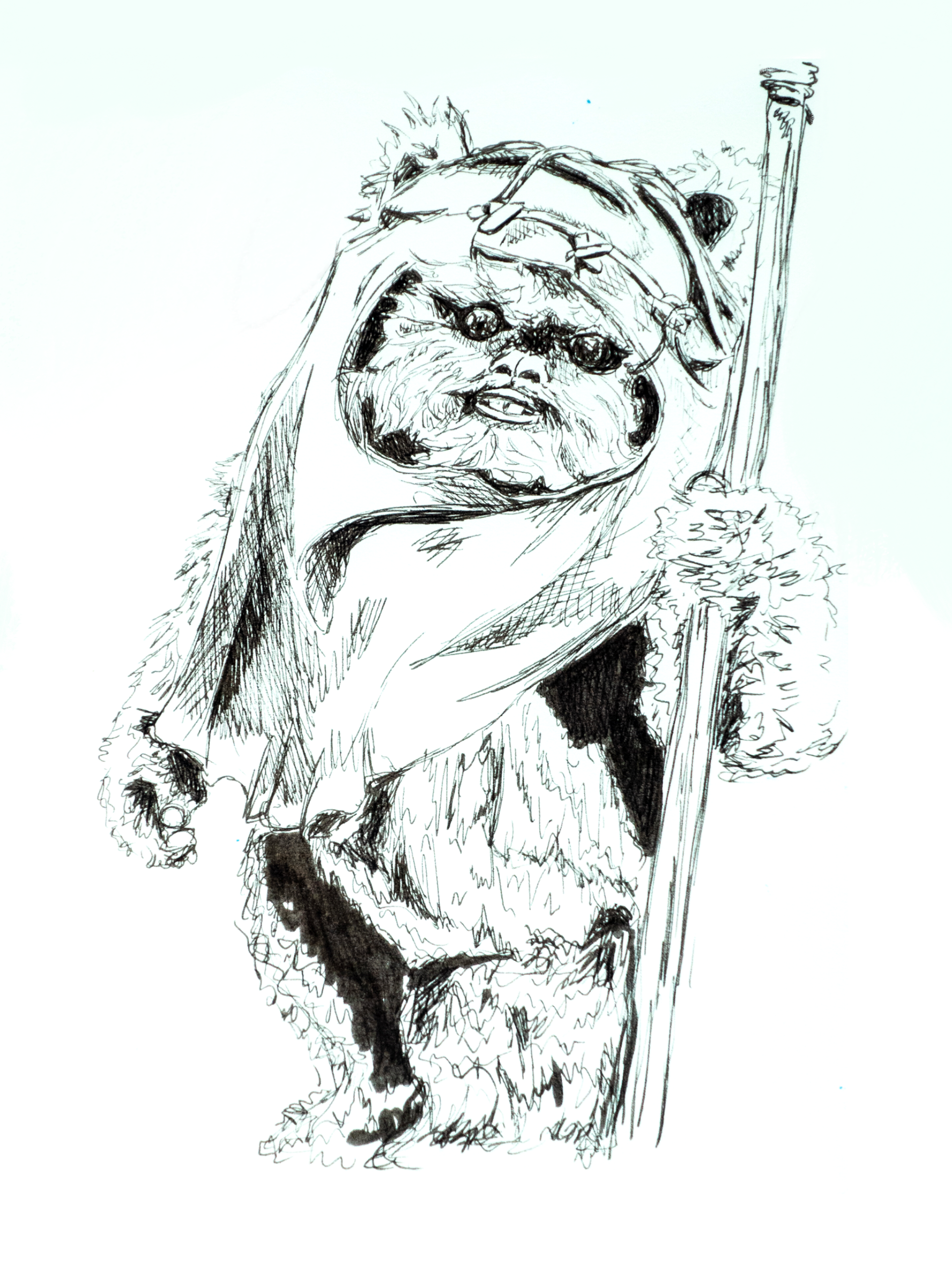Wicket