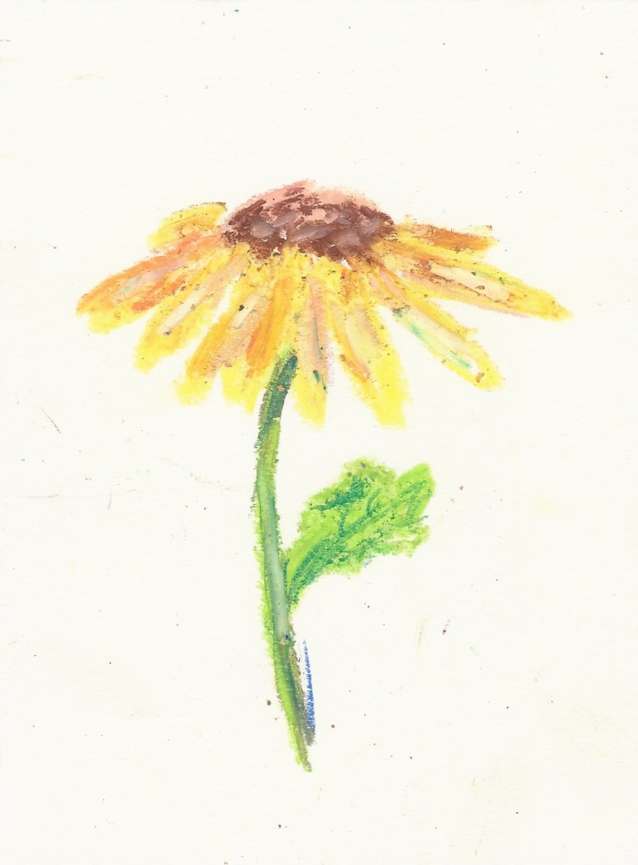 Yellow Flower