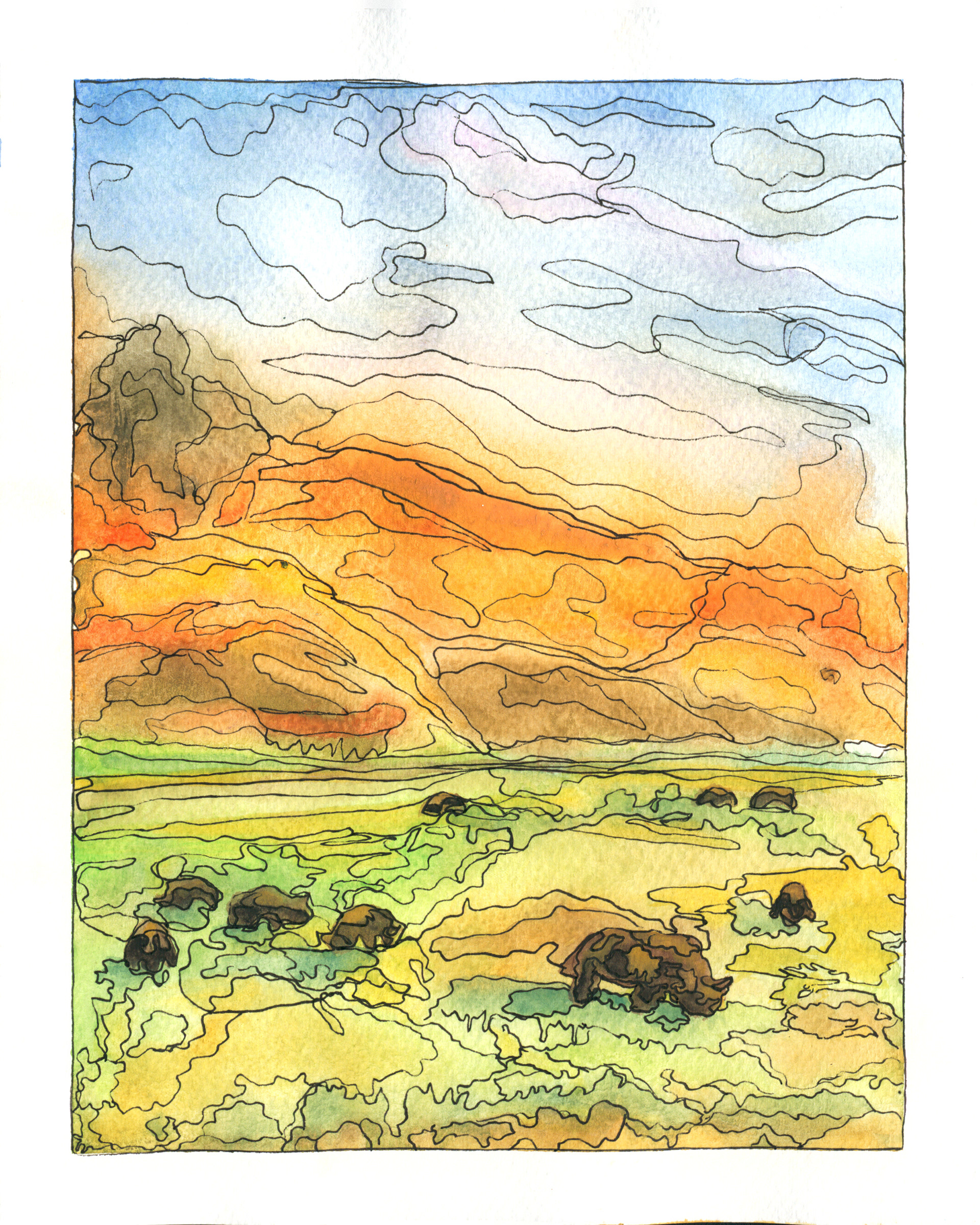 Roaming Bison