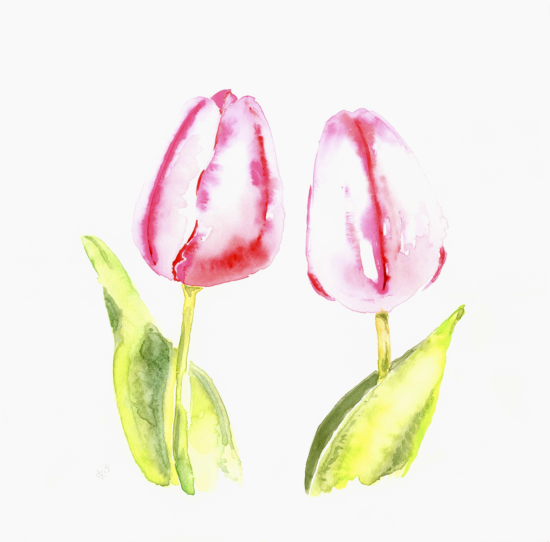 Tulips No. 2