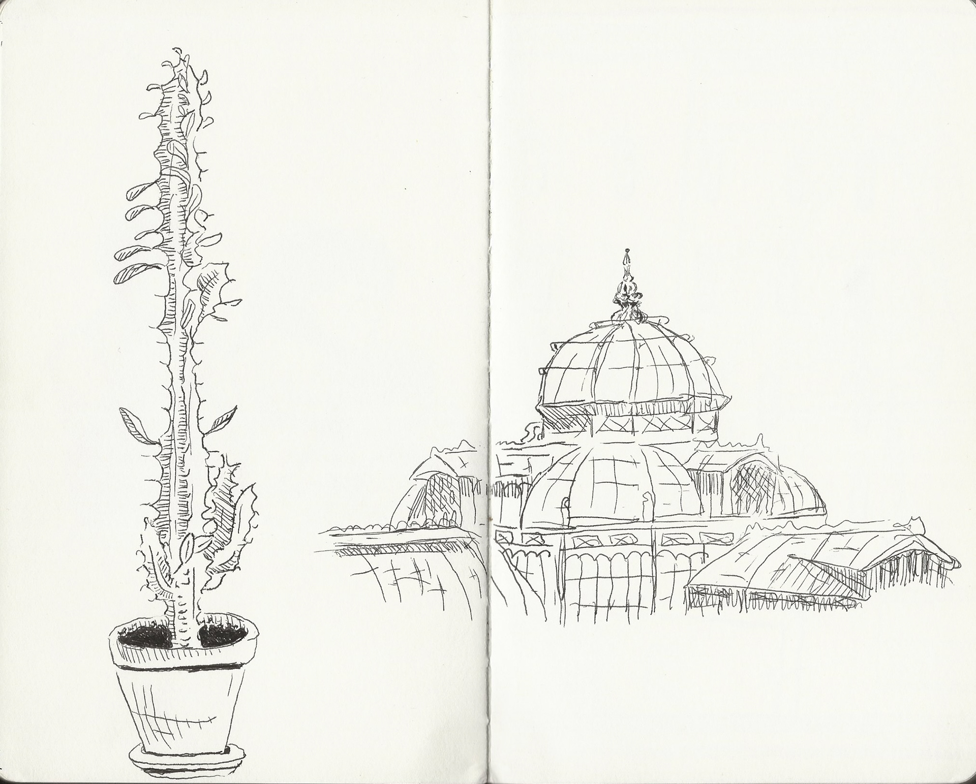 Golden Gate Park