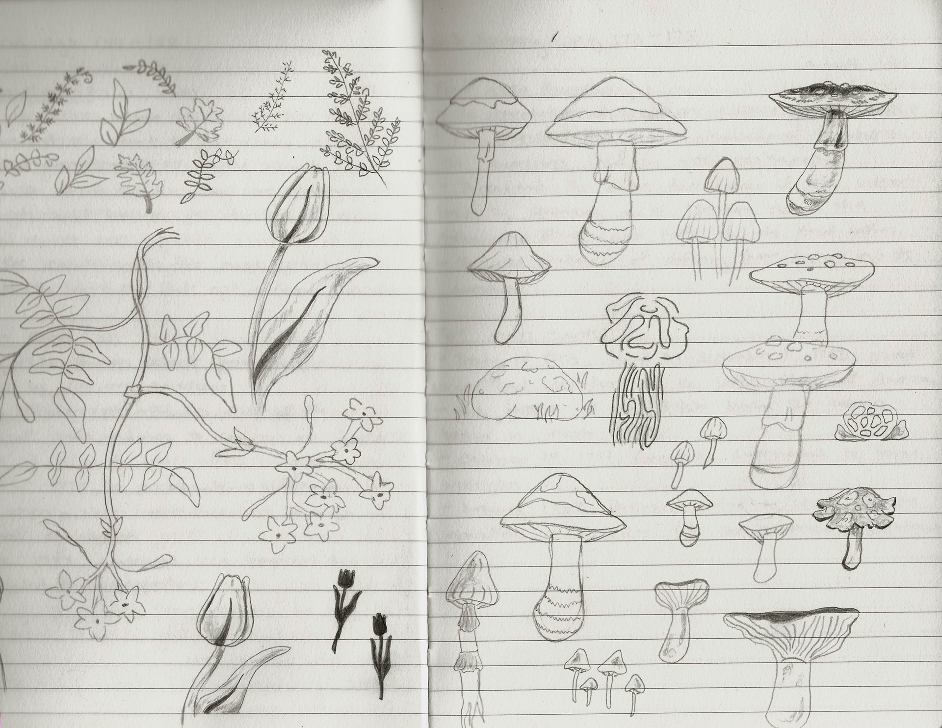Forest Sketch