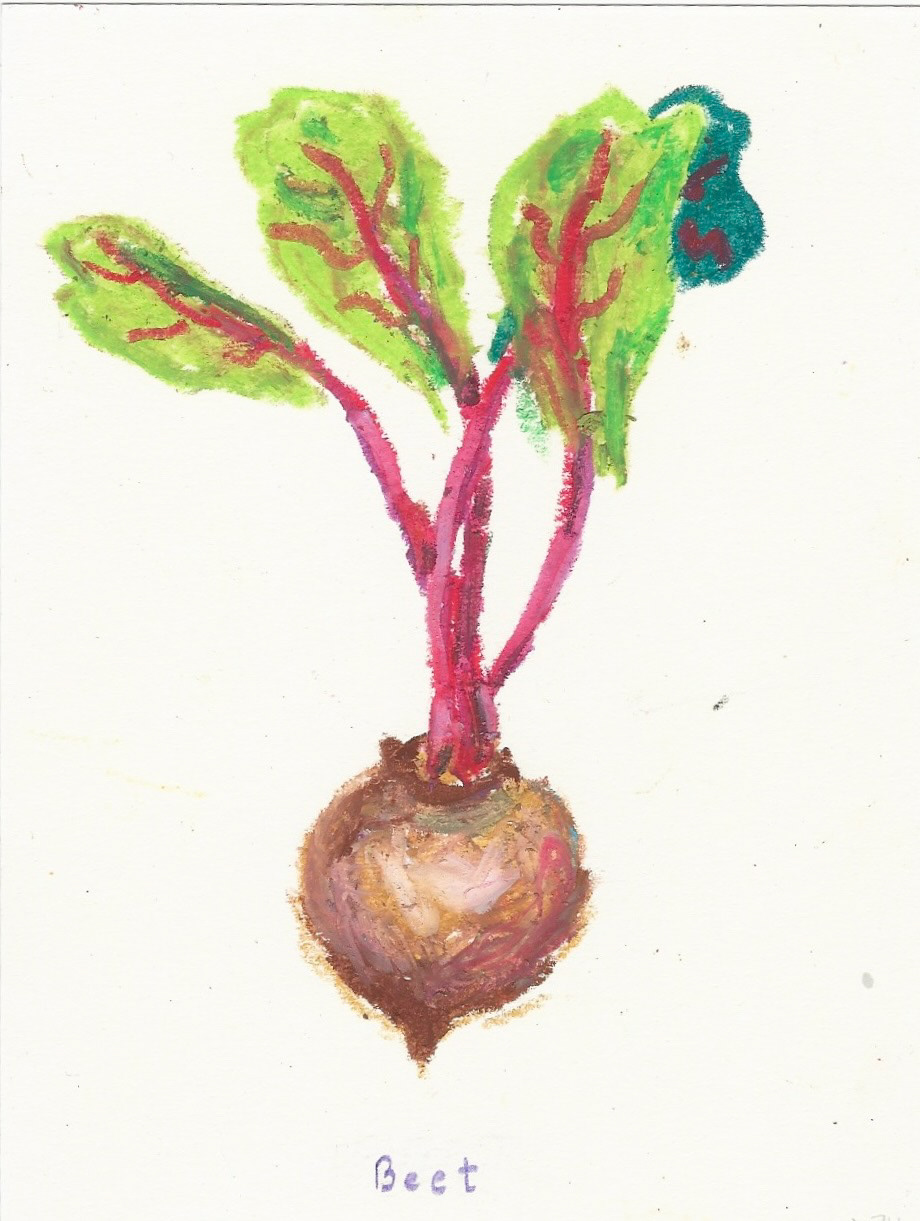 Beet No. 2