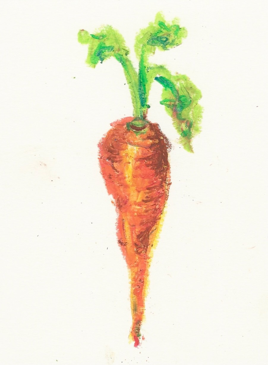 Carrot