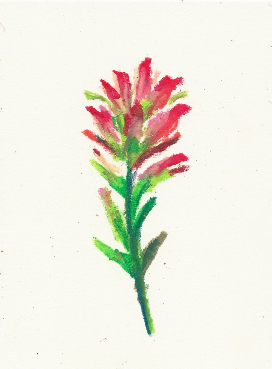 Paintbrush 