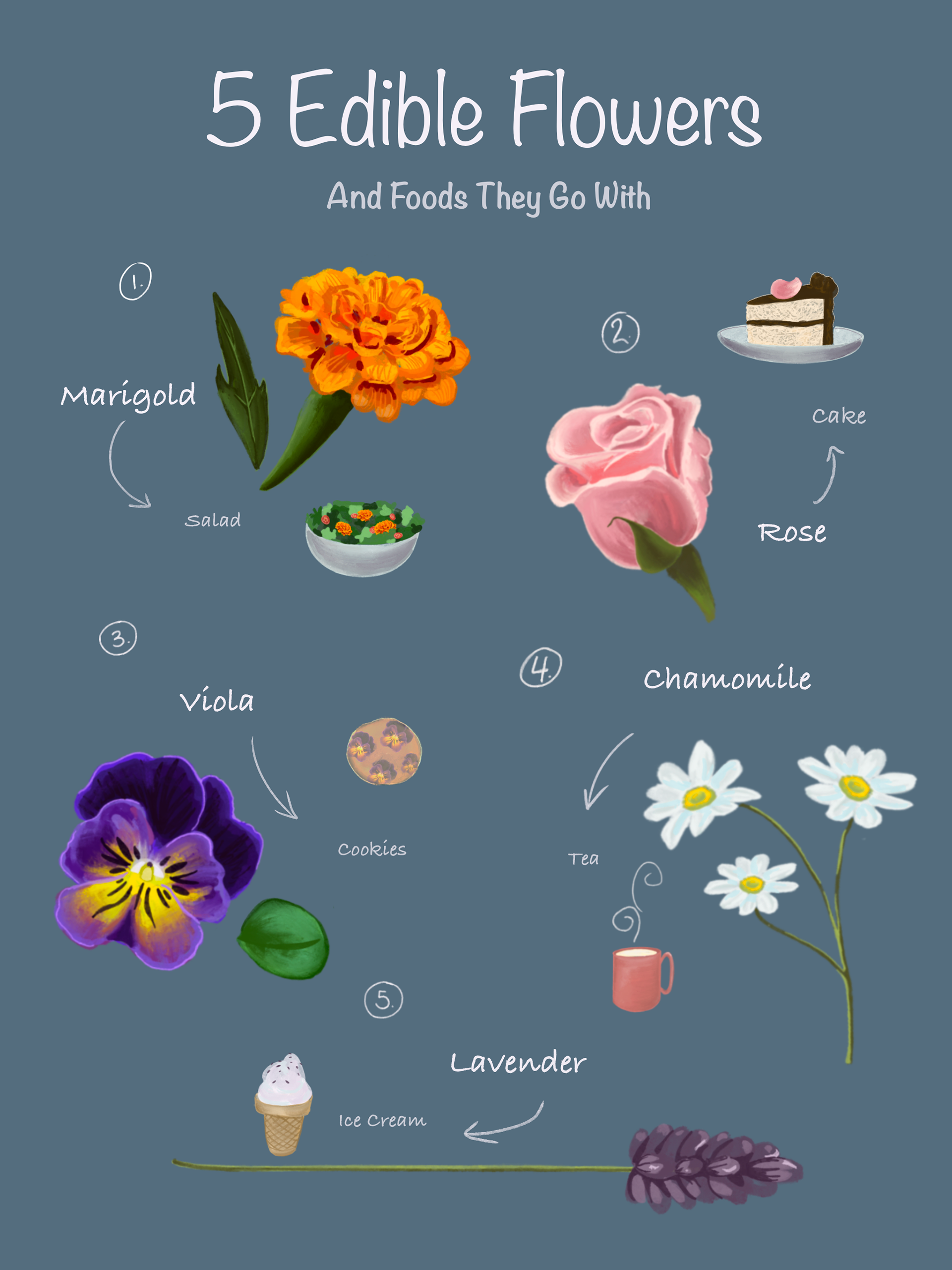 Edible Flower Infograph