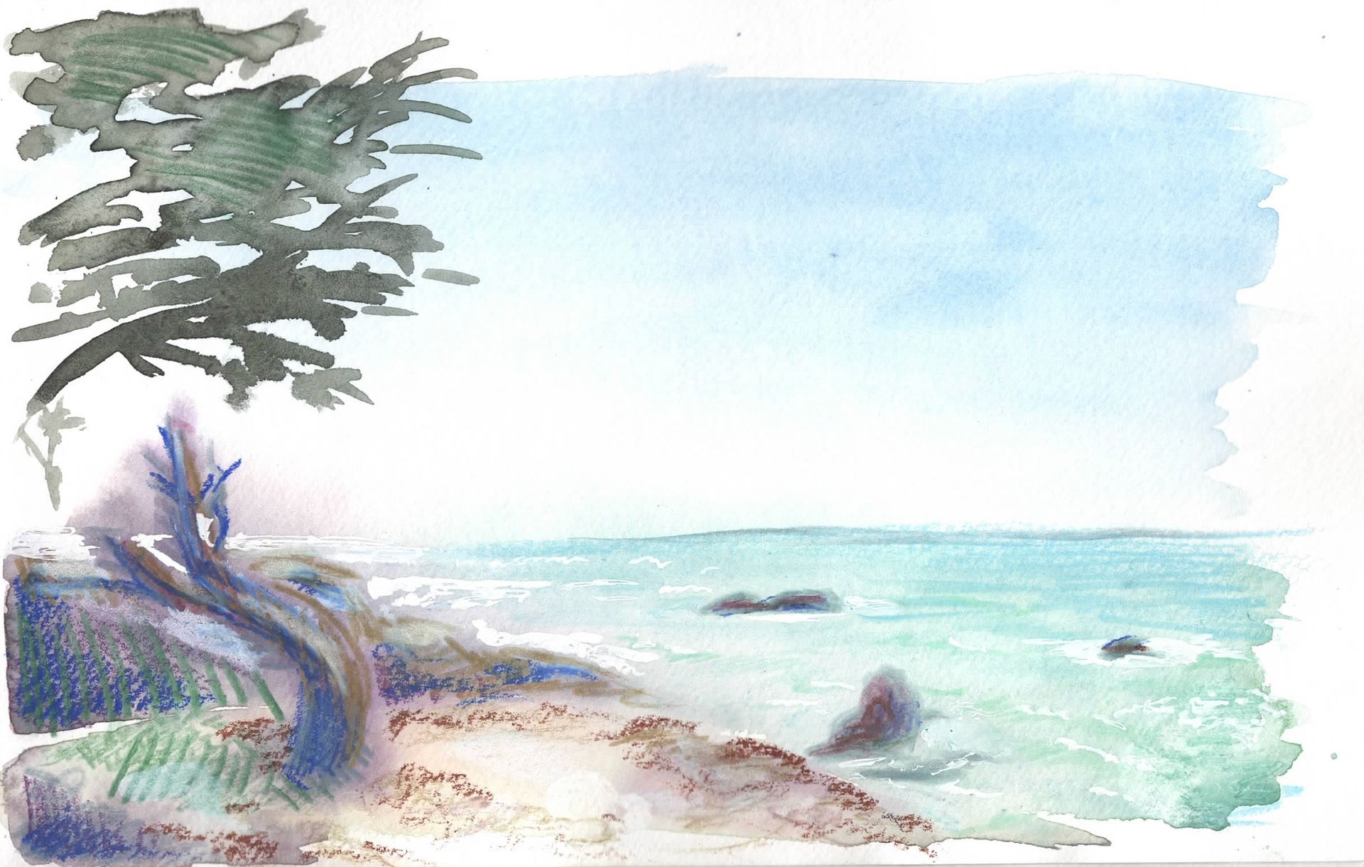 Lands End, San Francisco