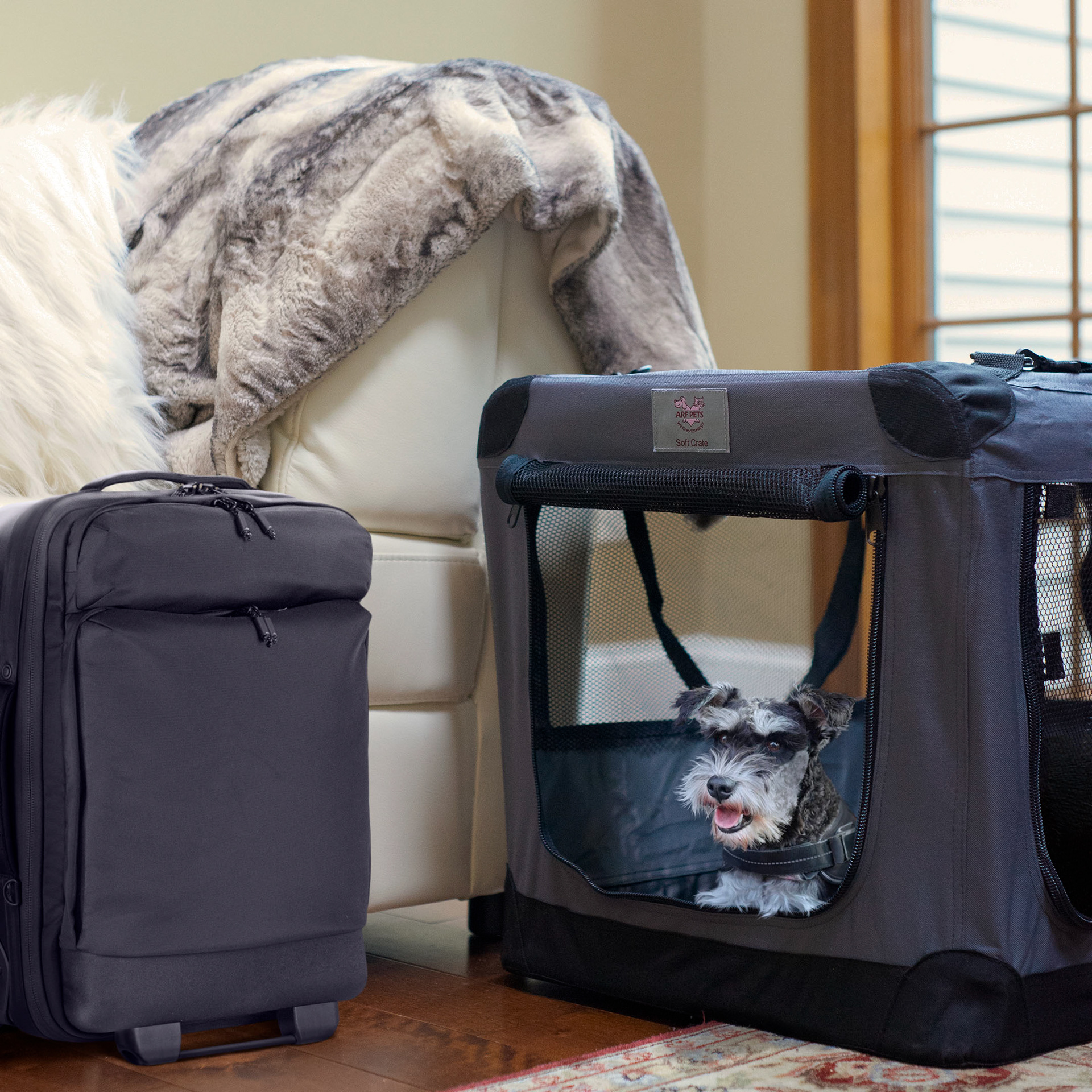e-commerce photo manipulation - ARF pets
