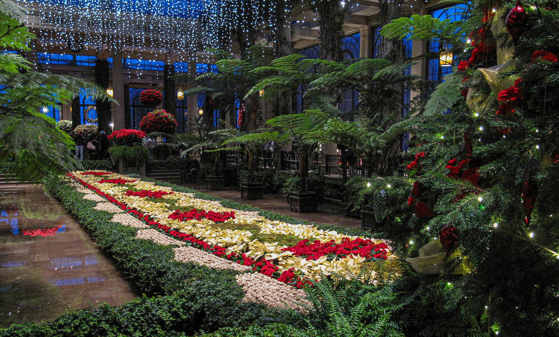 Longwood Gardens, Christmas Lights, 2009