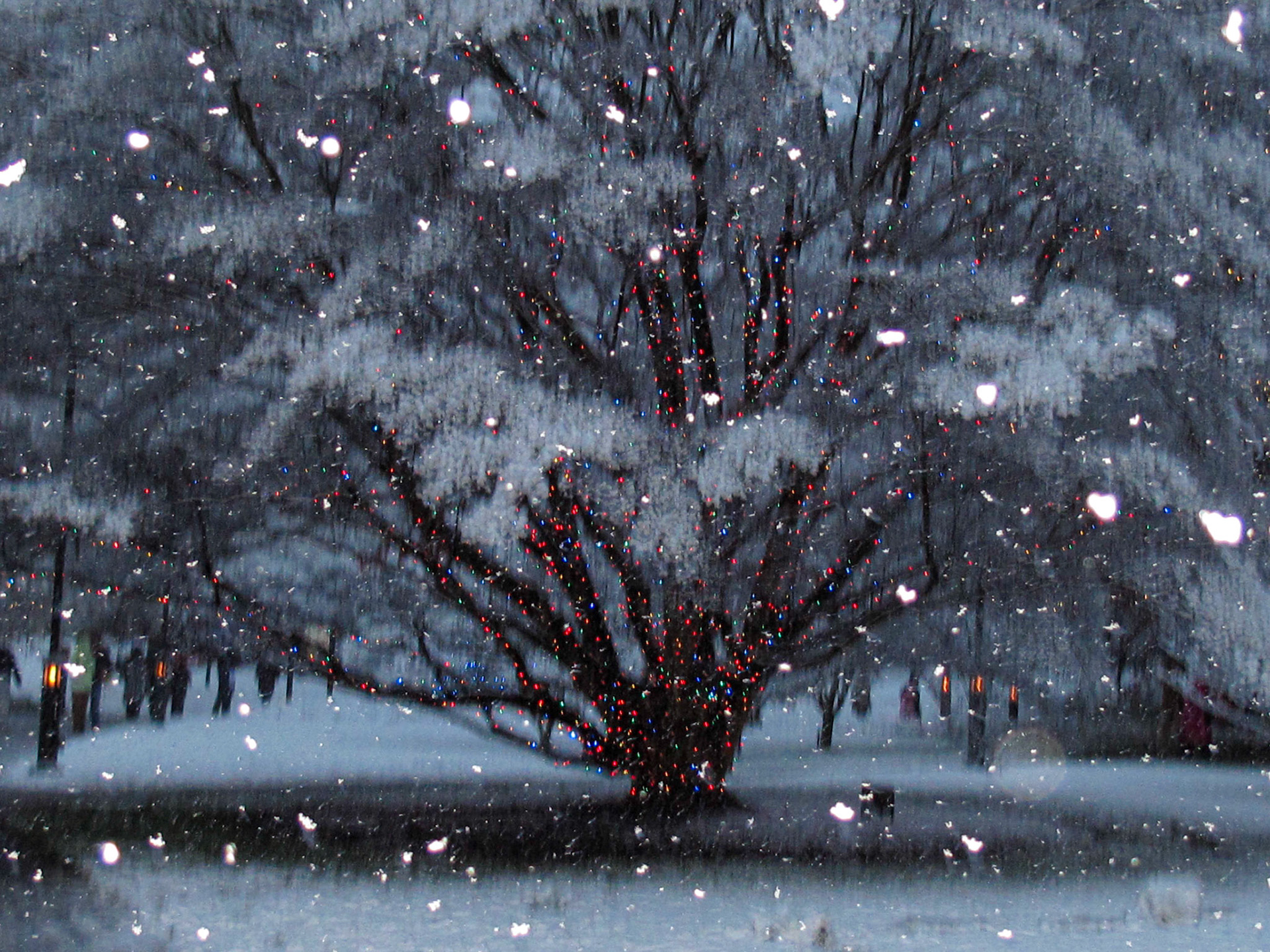 Longwood Gardens, Christmas Lights, 2009