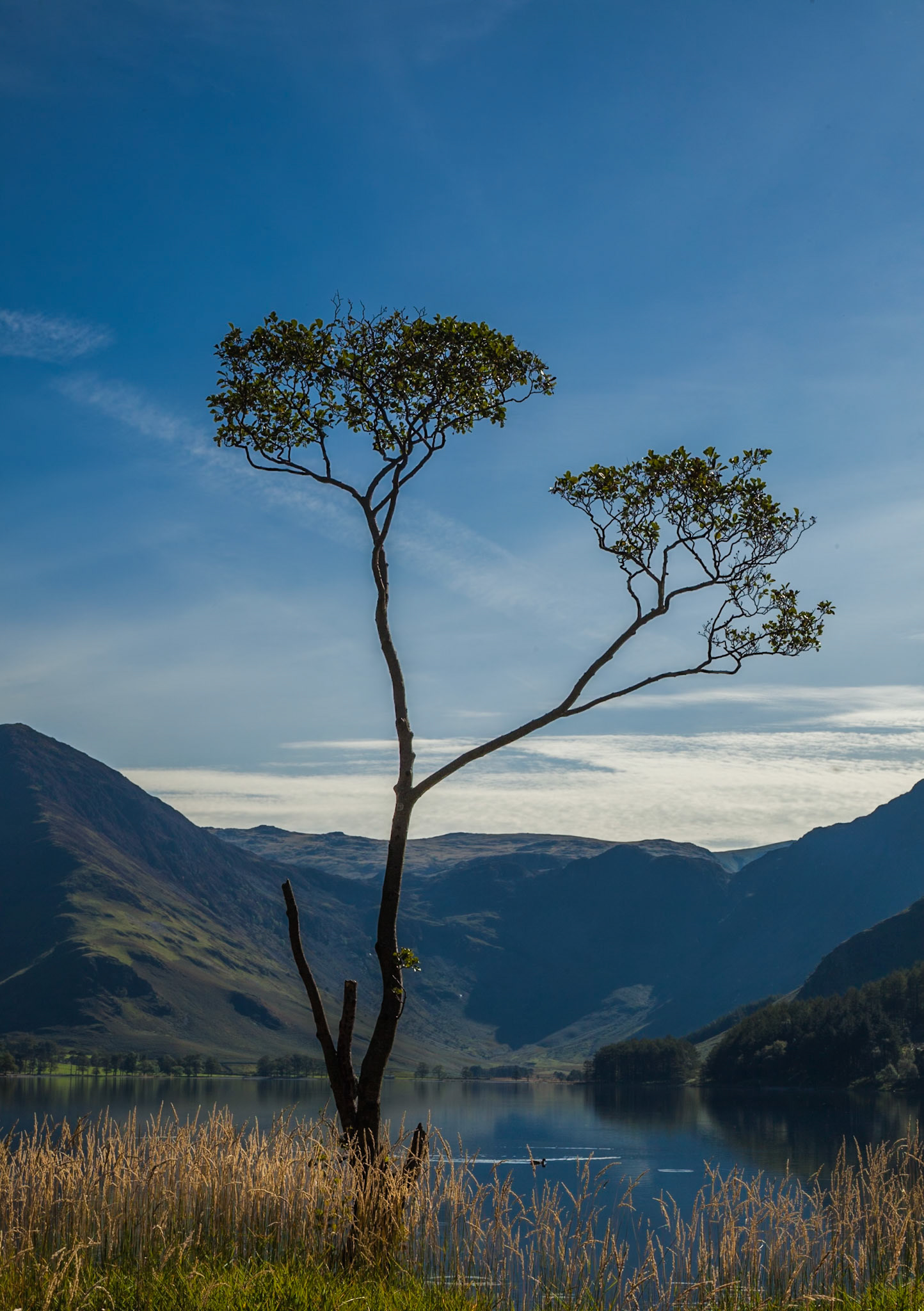 Buttermere, Lake District, 2015