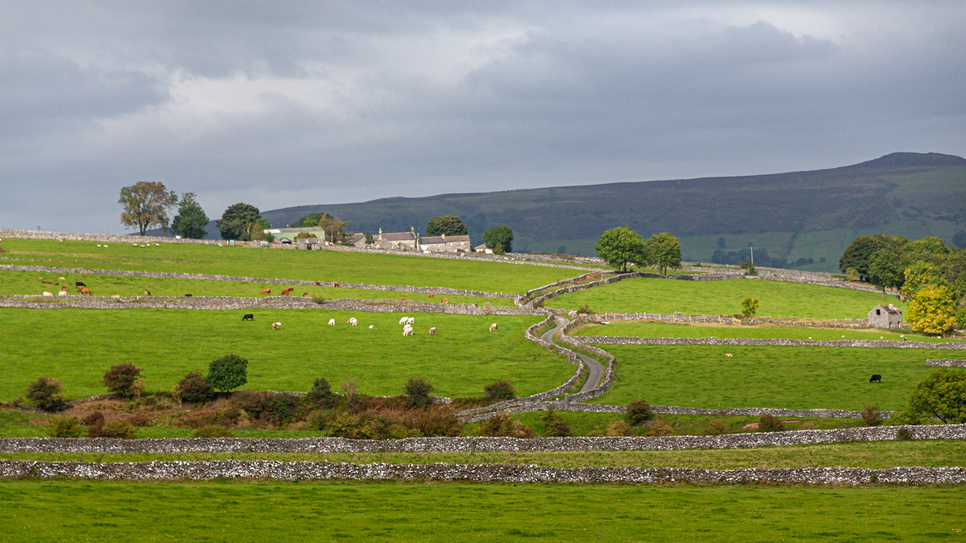Peak District, 2010