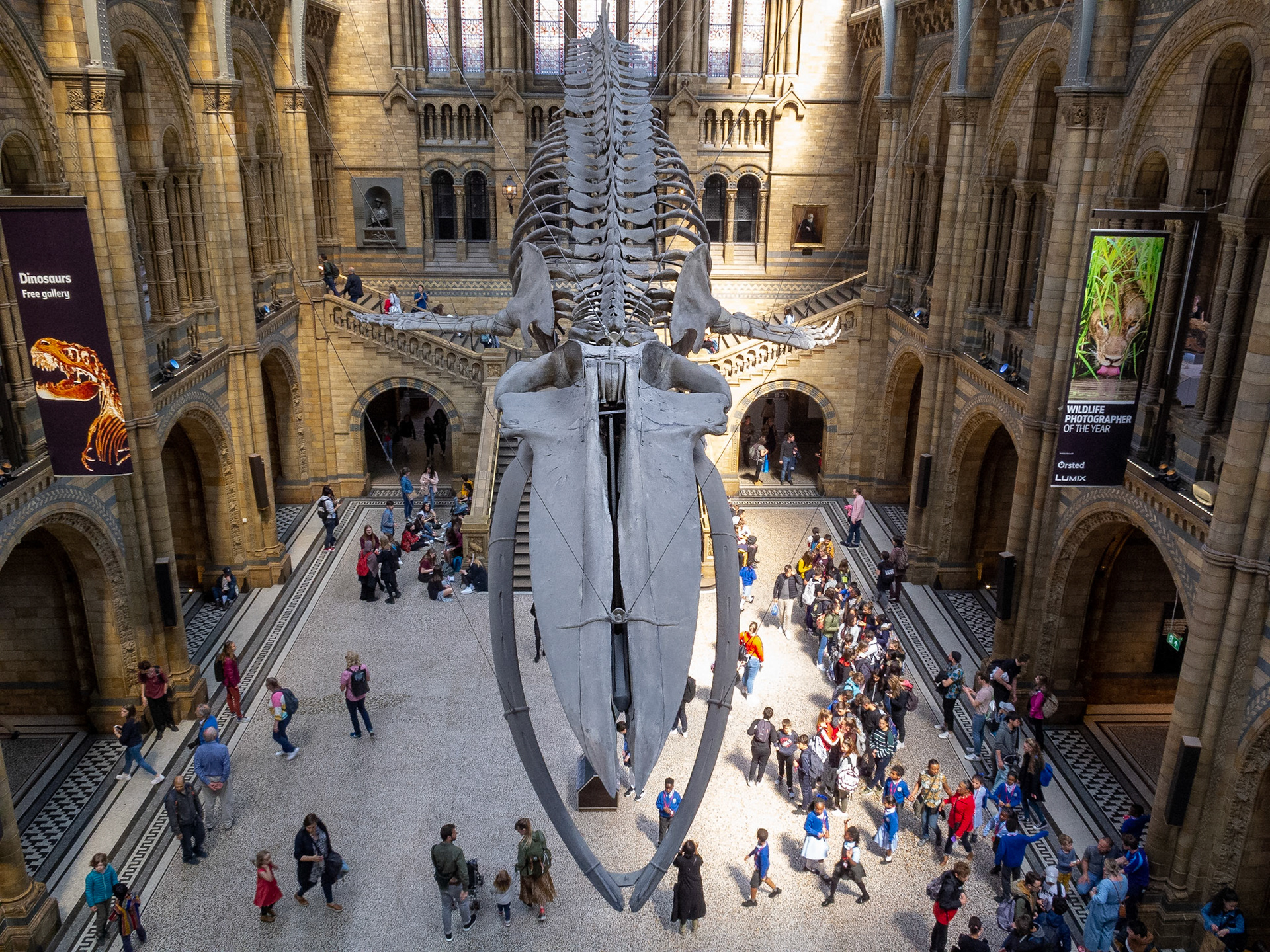 Natural History Museum, London, 2019