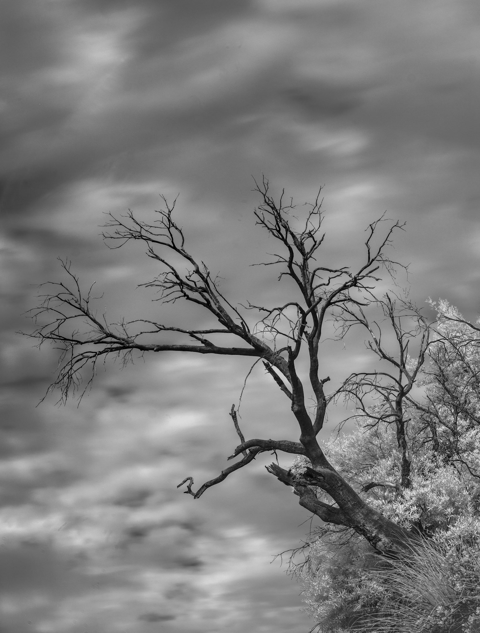 Alone (Windy Point Vista)