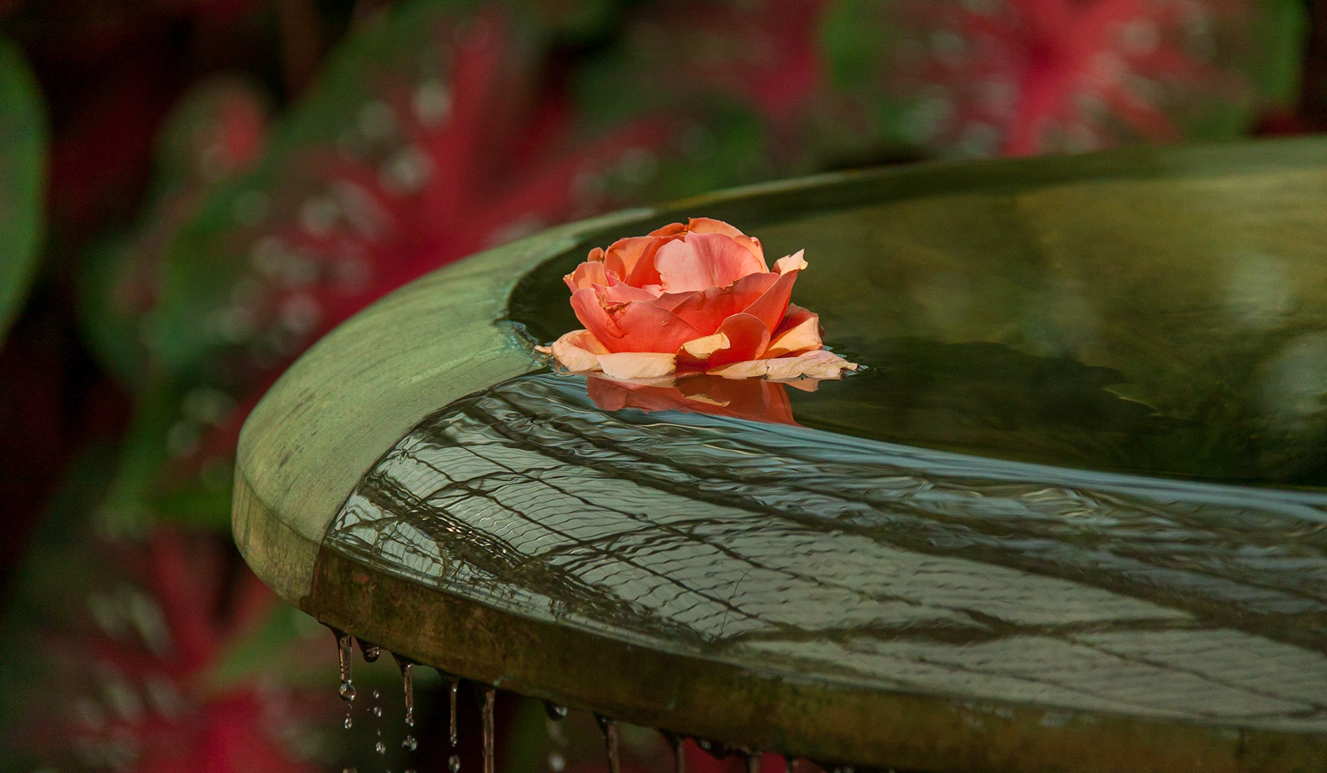 Conservatory, Longwood Gardens, 2013