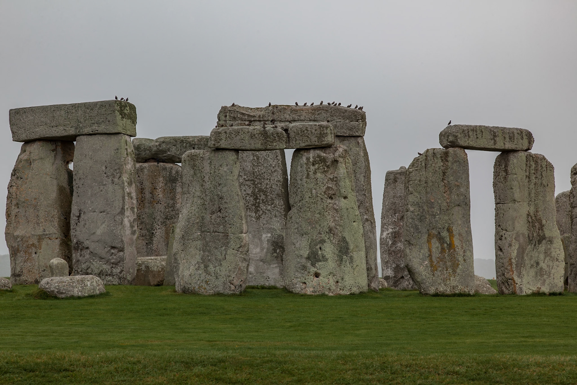 Stonehenge, 2014