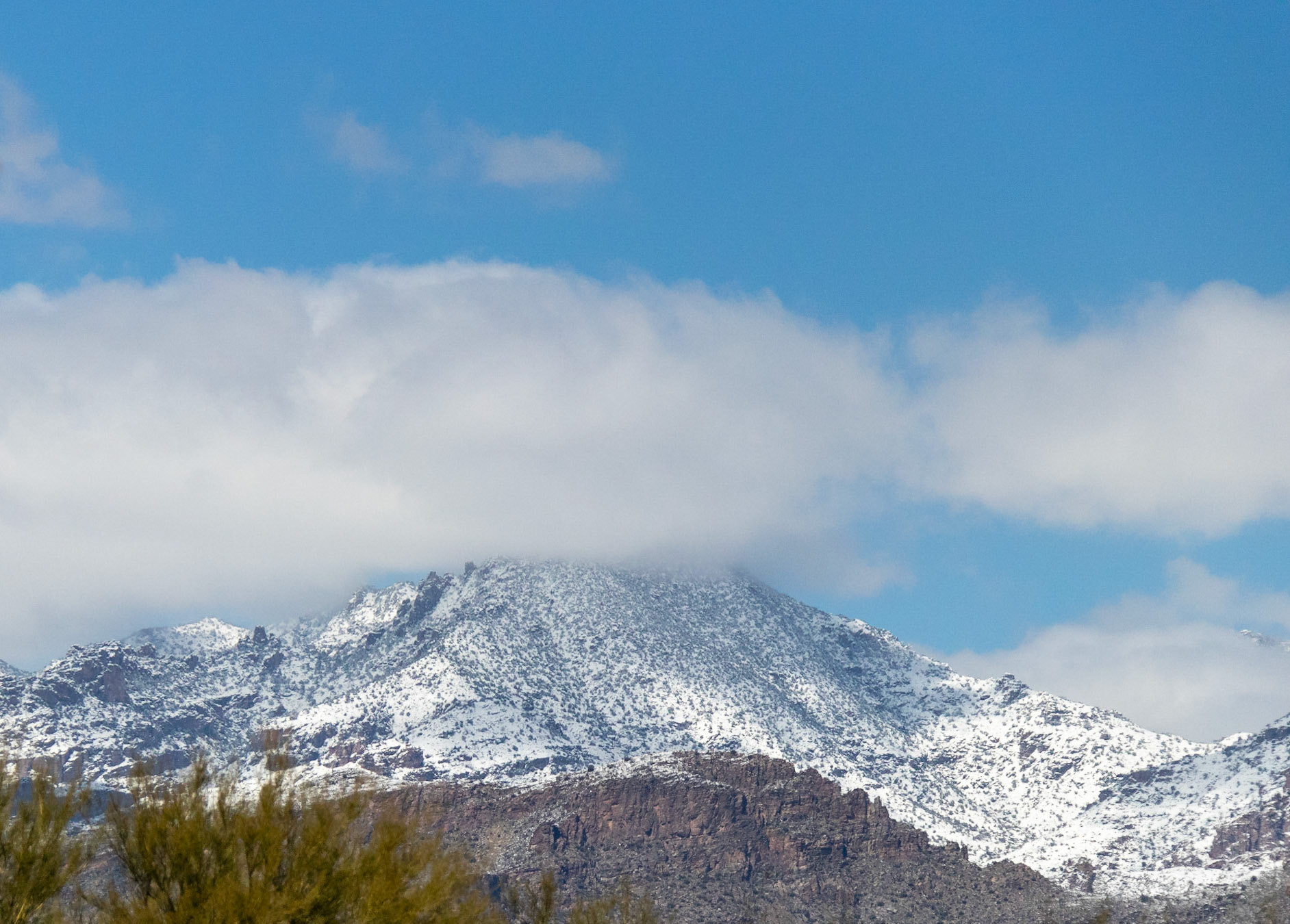 Santa Catalinas, 2019