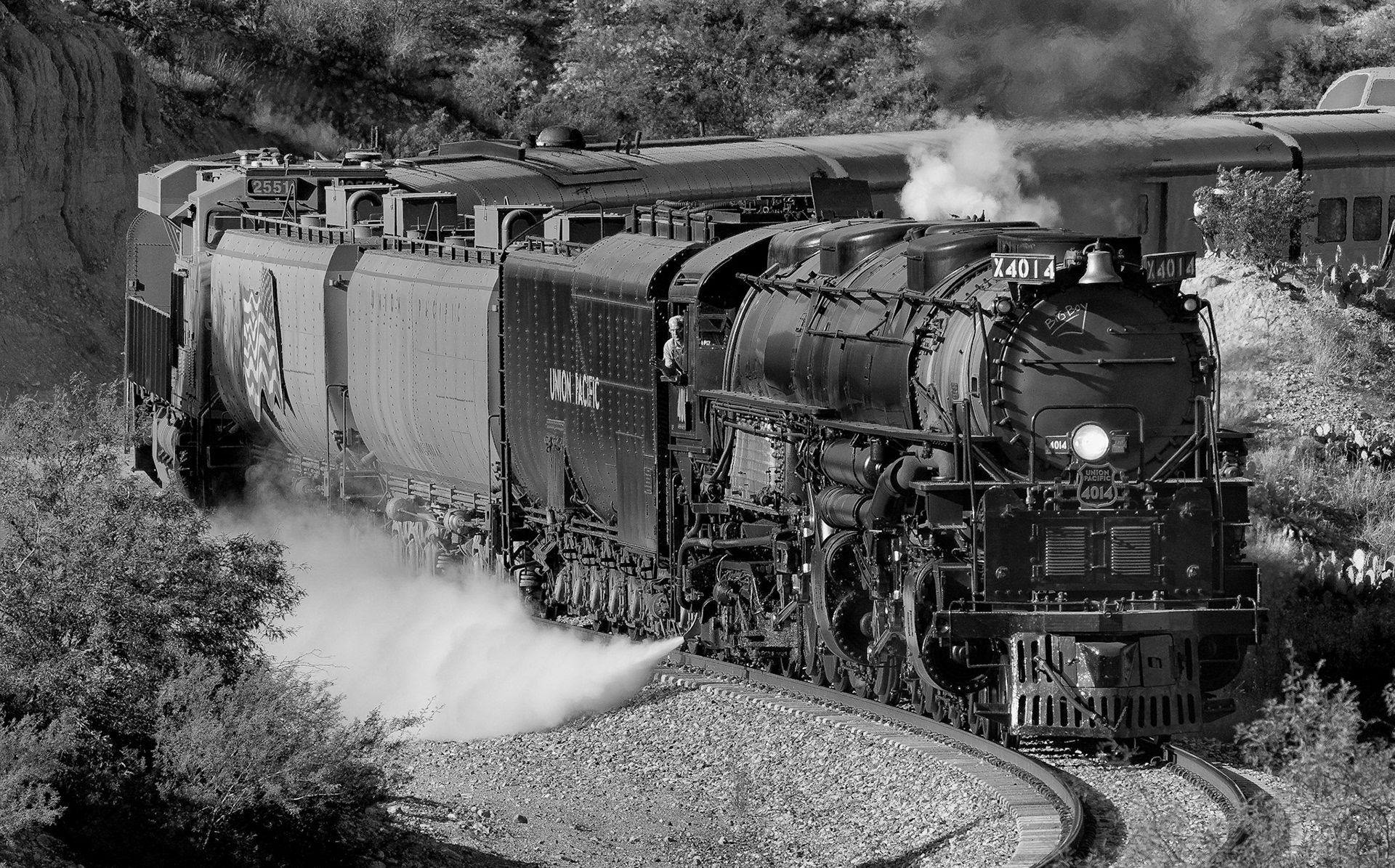 Big Boy 4014 in Cienega Creek