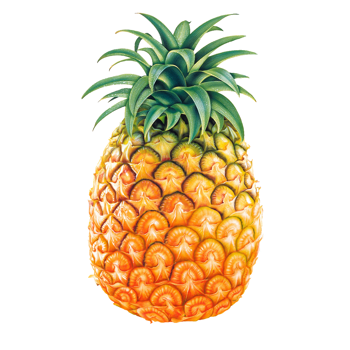 pine2n