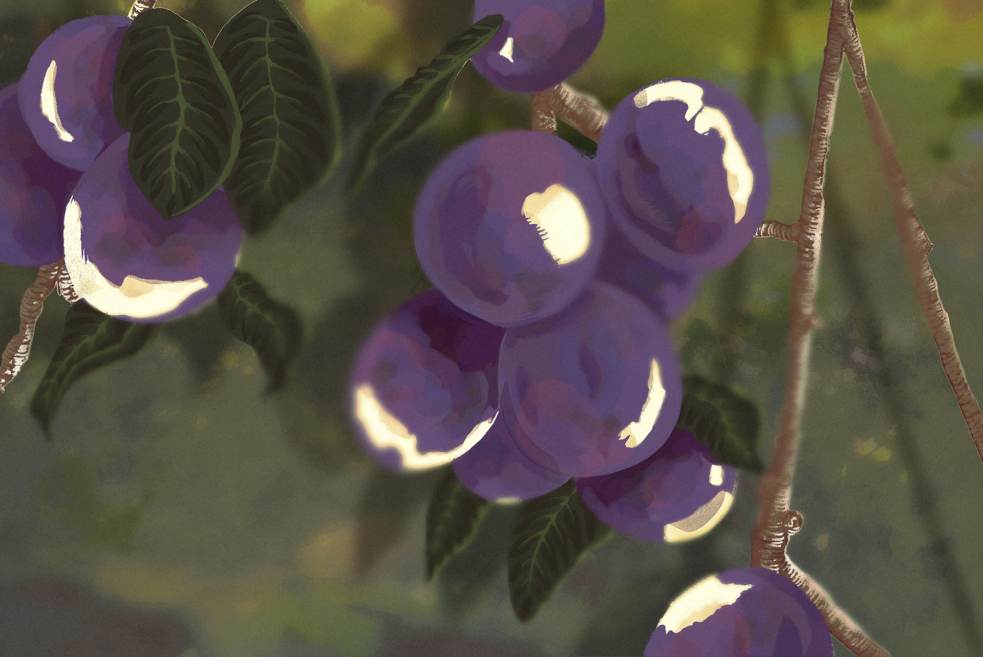 Background - I Saw The Sunbeams