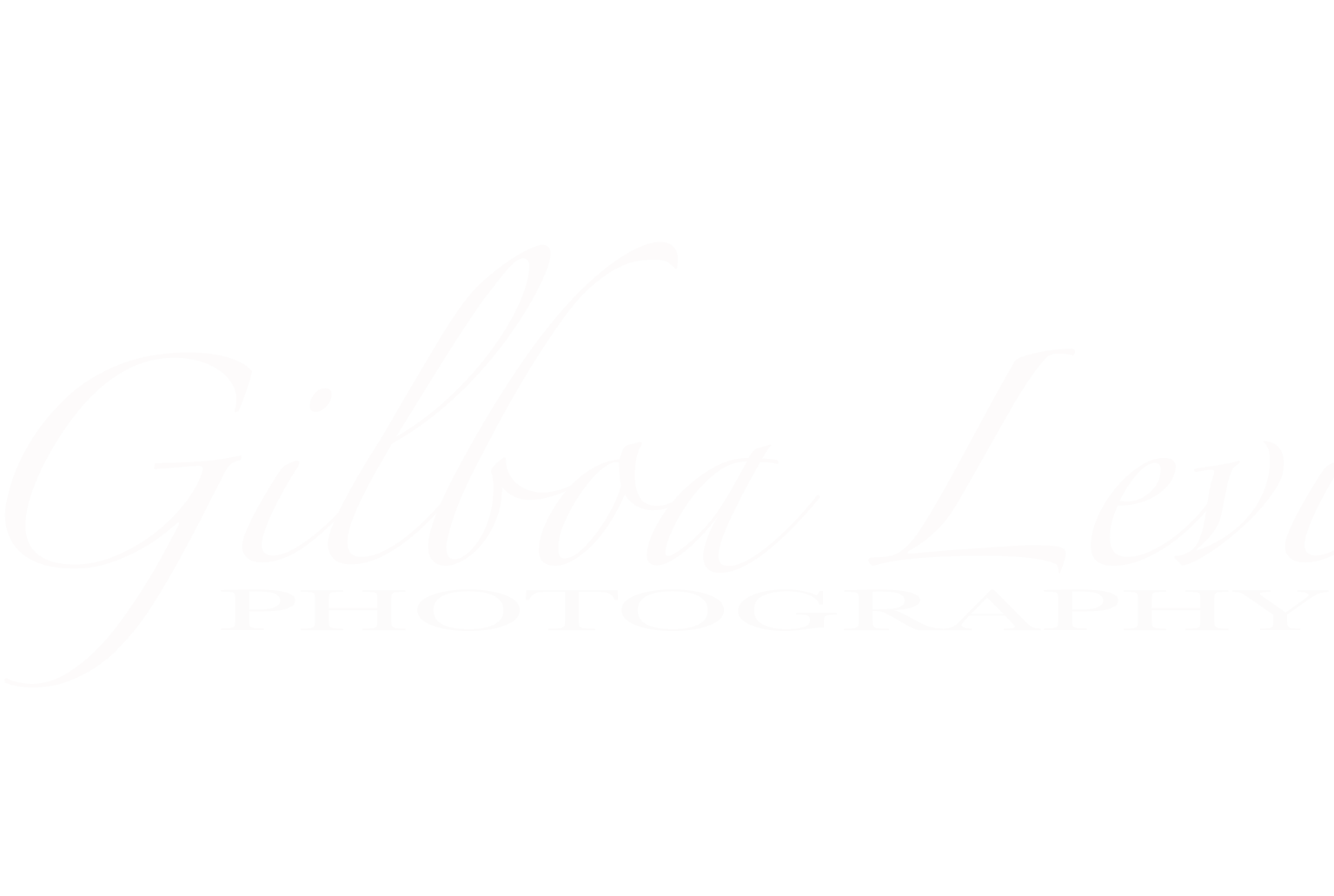 Gilboa Levi