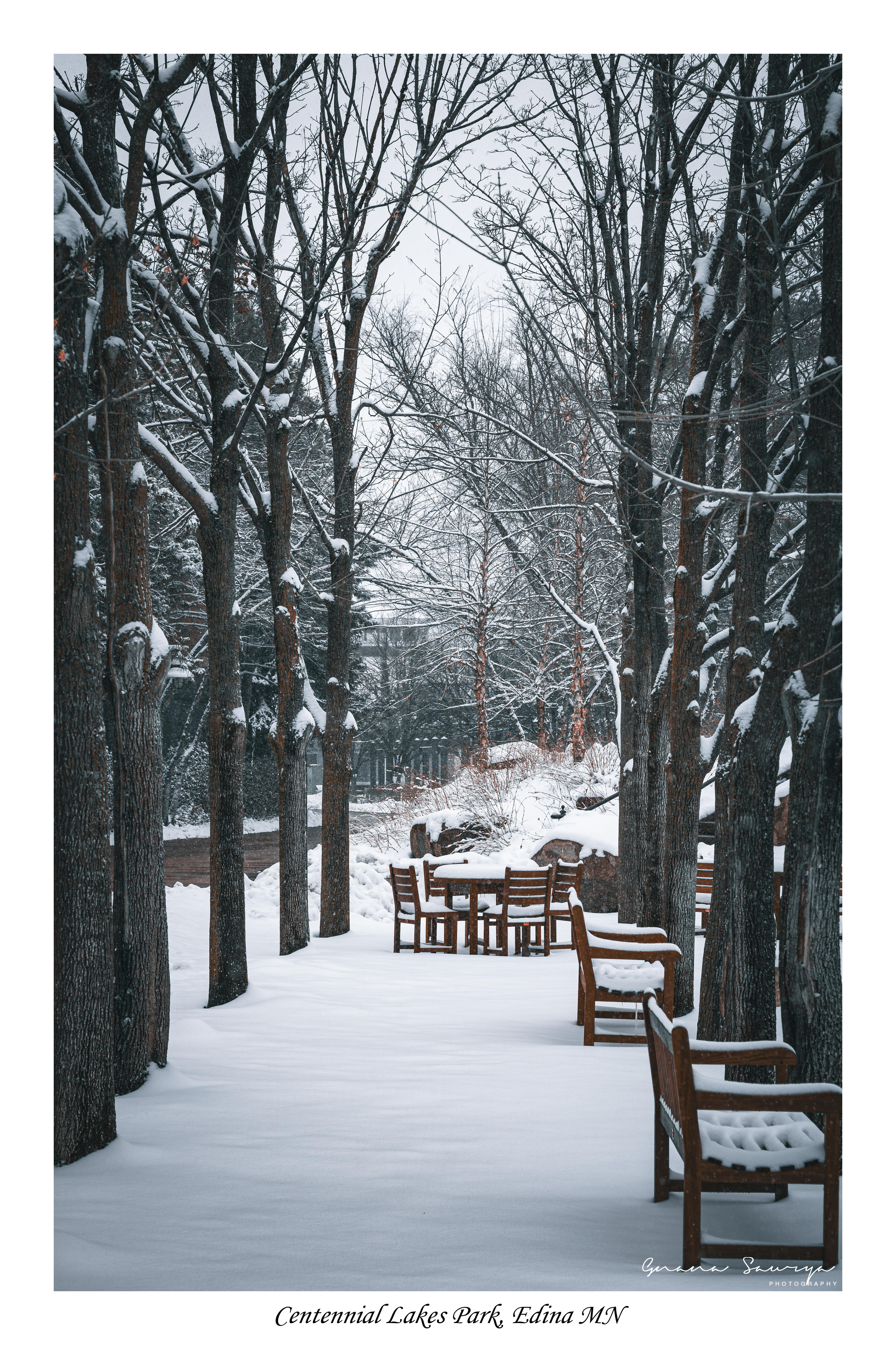 Post-blizzard scenes in Centennial Lakes Park, Edina