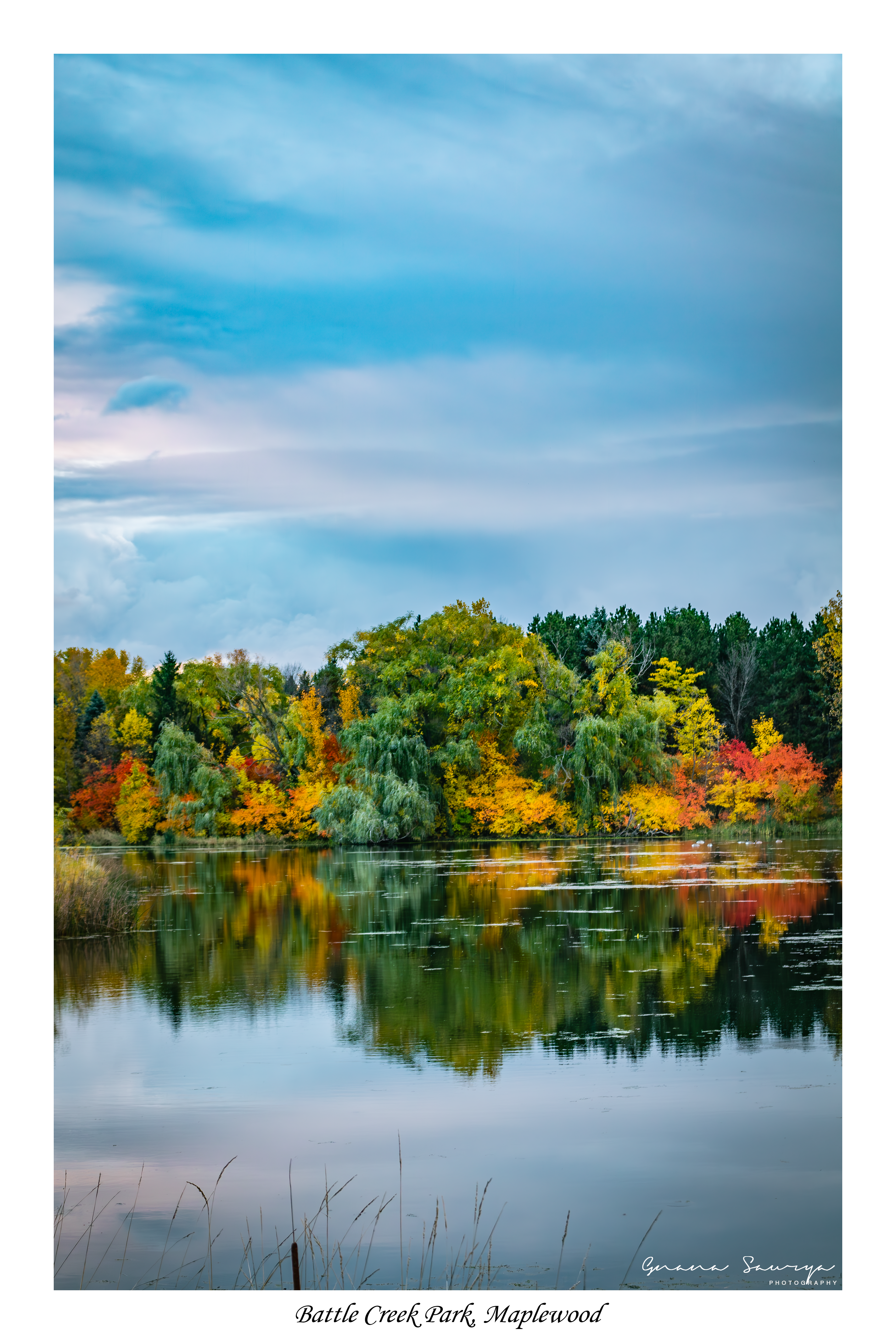 Fall Colors in Battle Creek Regional Park in Maplewood MN
