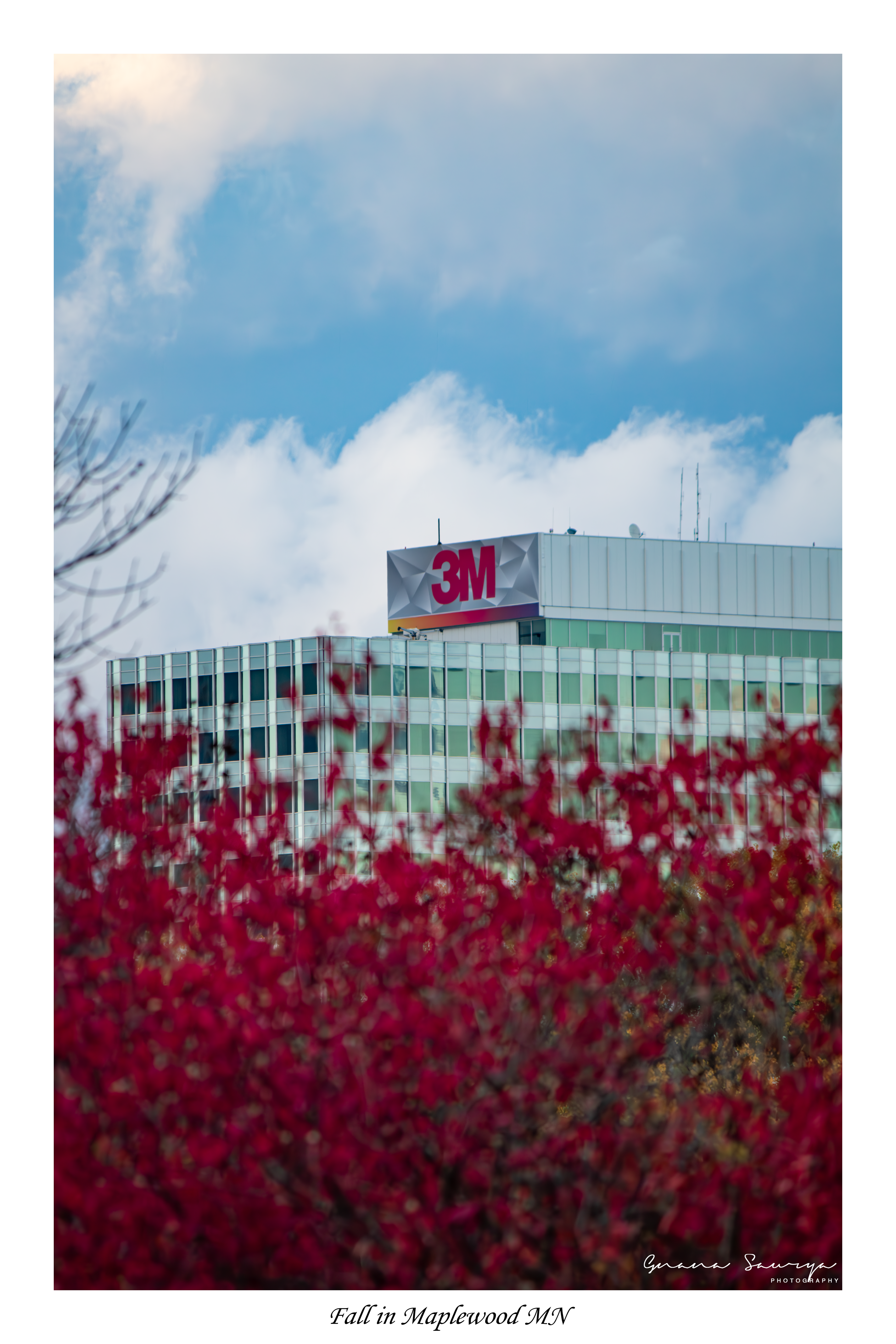 Fall Colors and 3M from Battle Creek Regional Park, Maplewood, MN