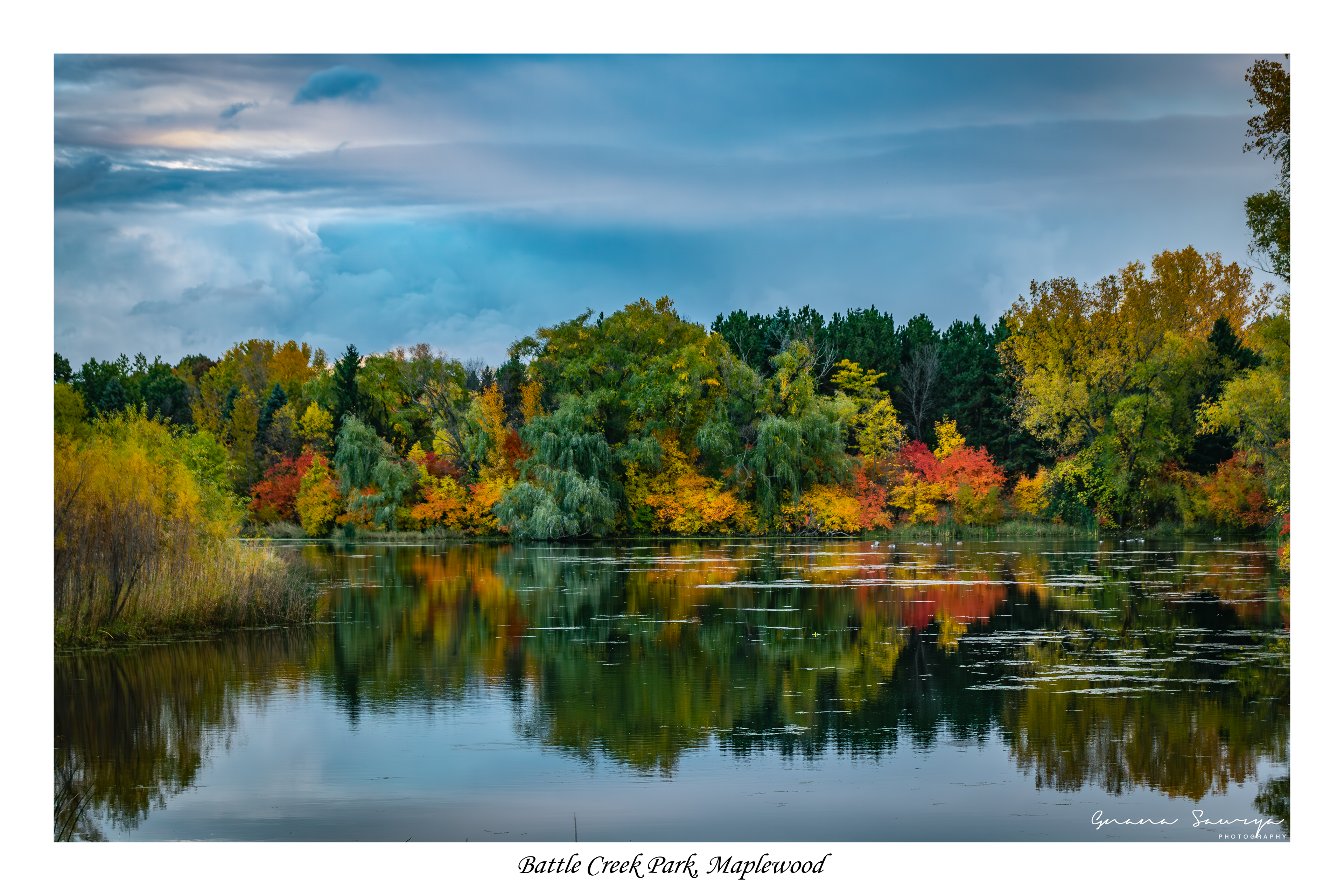 Fall Colors in Battle Creek Regional Park in Maplewood MN